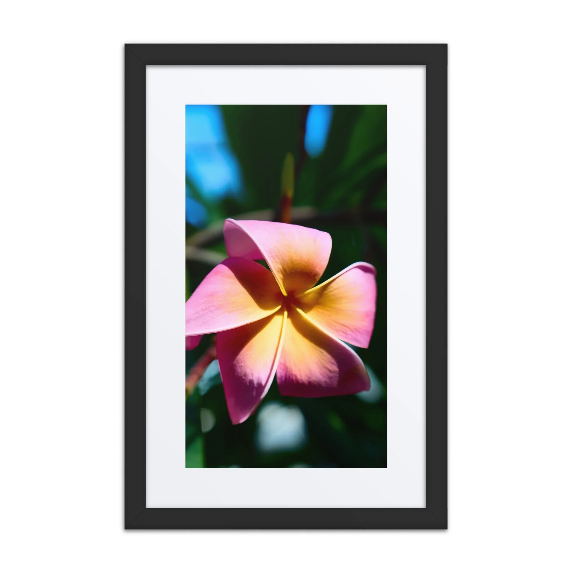 matte-paper-framed-poster-with-mat-(in)-black-12x18-front-6a39d2deb54bc.jpg