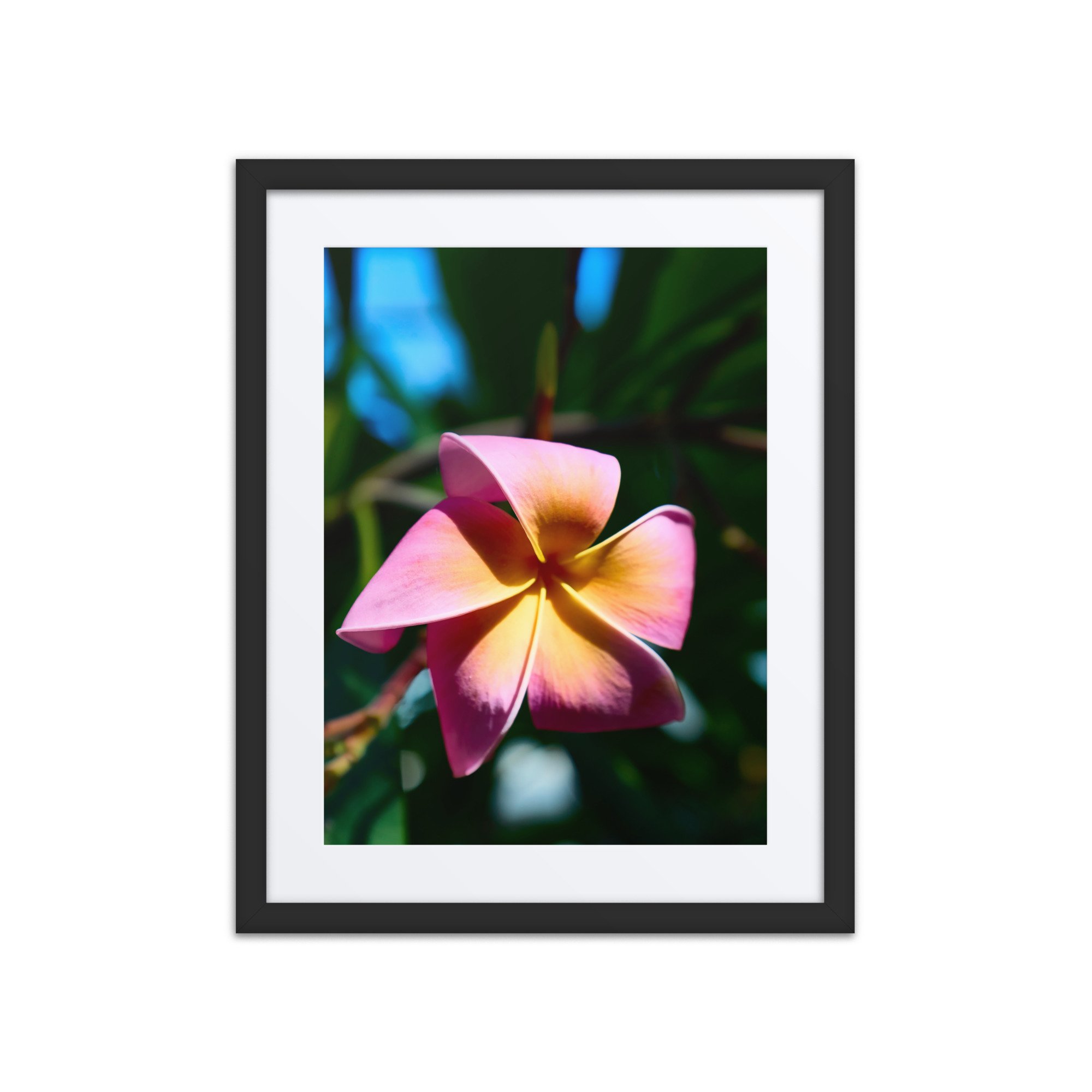 matte-paper-framed-poster-with-mat-(in)-black-16x20-front-6a39d2deb551c.jpg