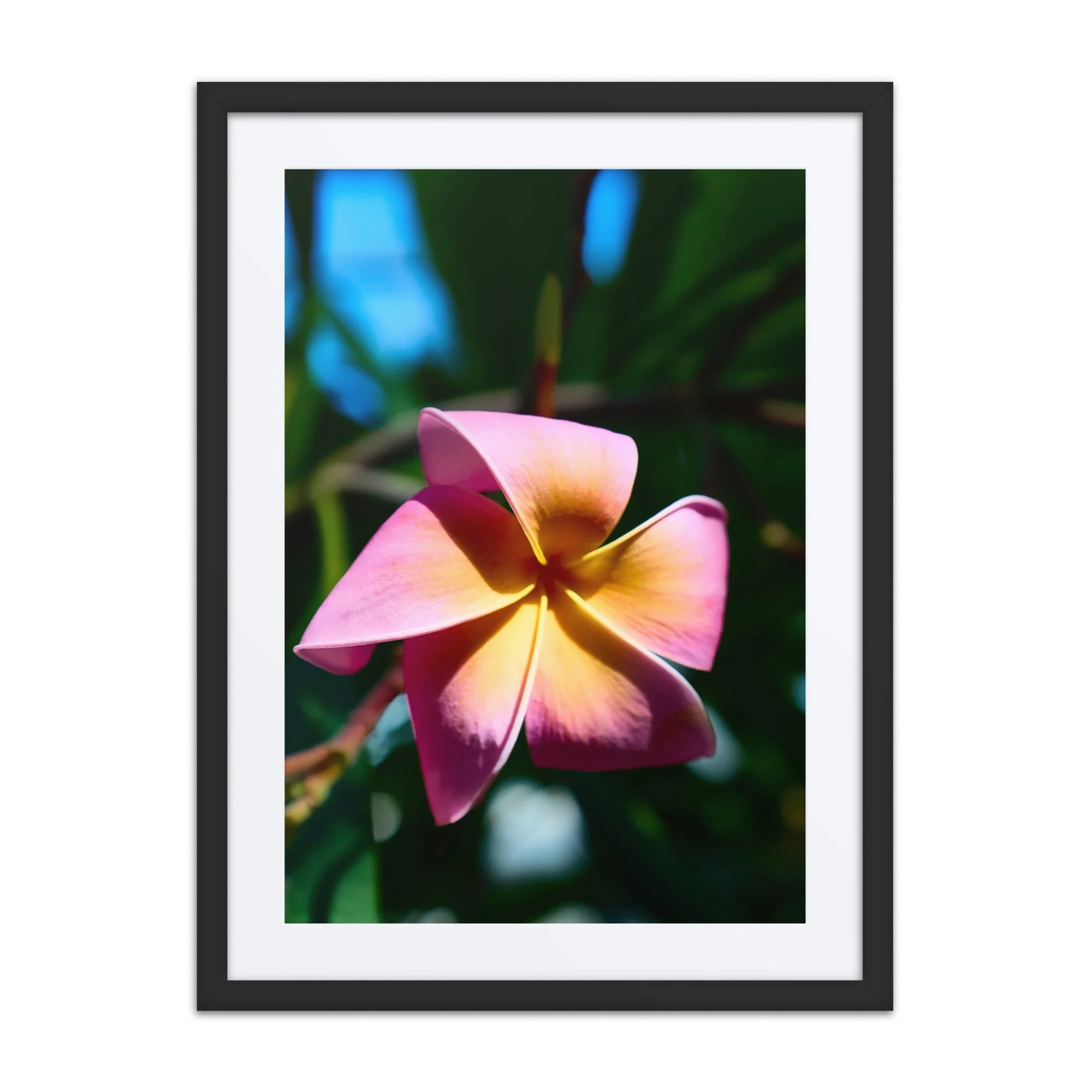 matte-paper-framed-poster-with-mat-(in)-black-18x24-front-6a39d2deb5551.jpg
