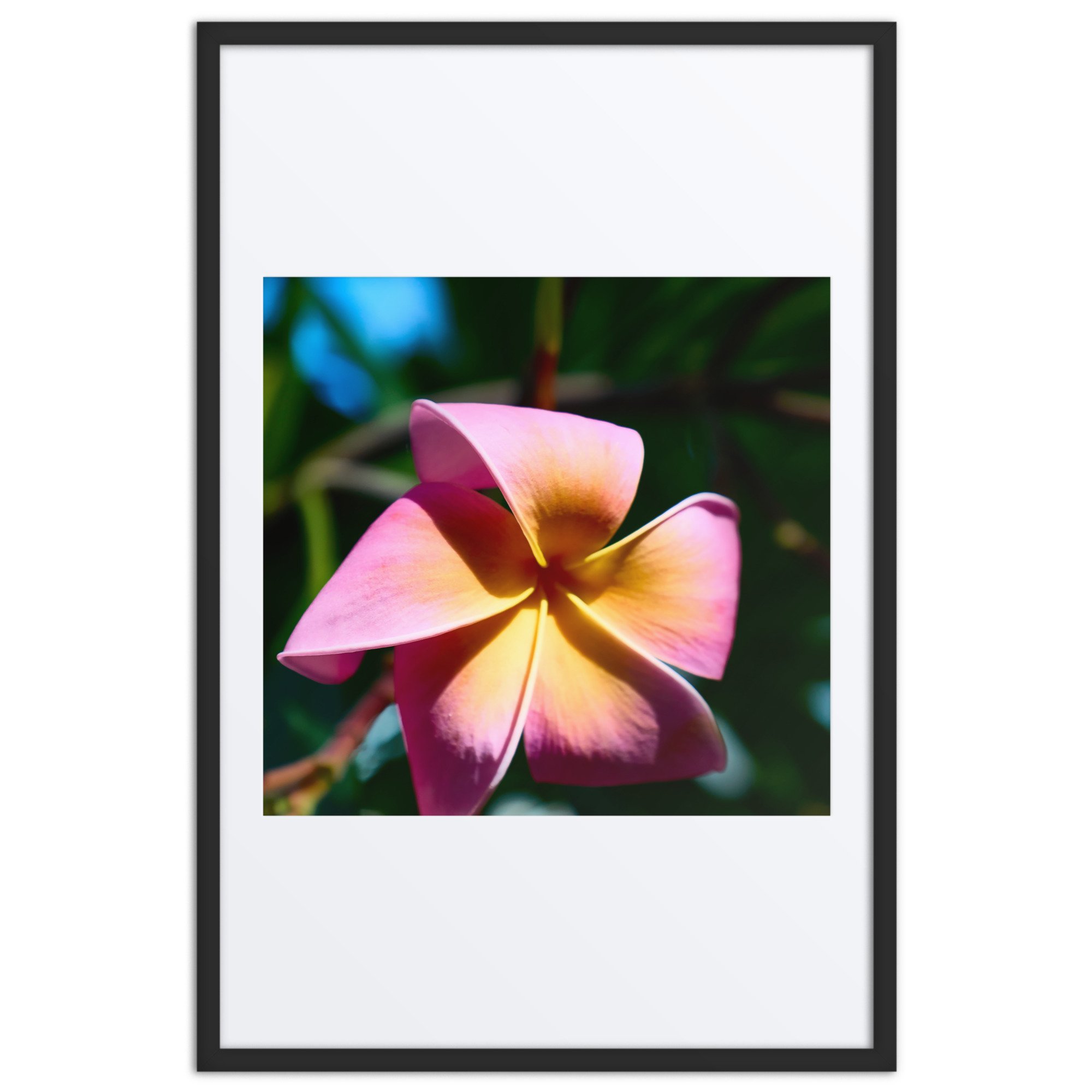 matte-paper-framed-poster-with-mat-(in)-black-24x36-front-6a39d2deb5580.jpg