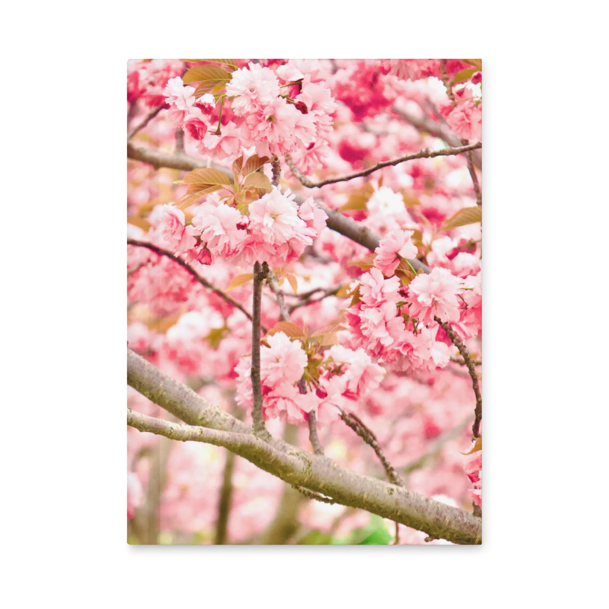 hardcover-journal-matte-white-8x5.75-front-6a3dbd299bc36.jpg