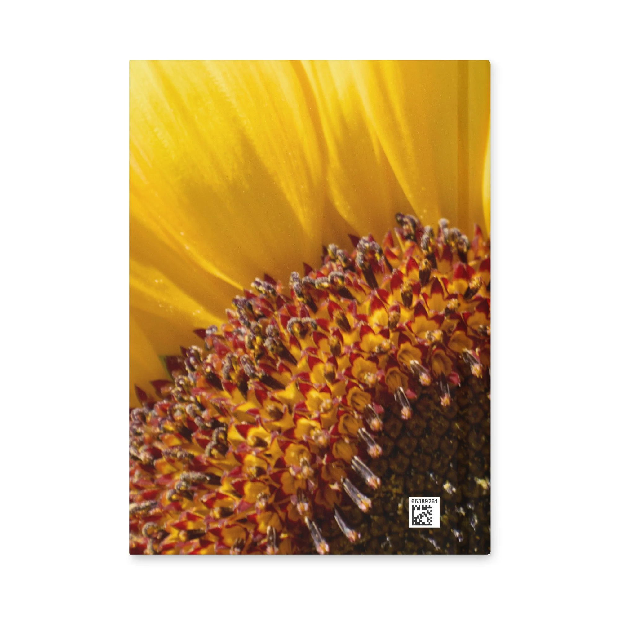 hardcover-journal-matte-white-8x5.75-back-6a3dc002bc91a.jpg