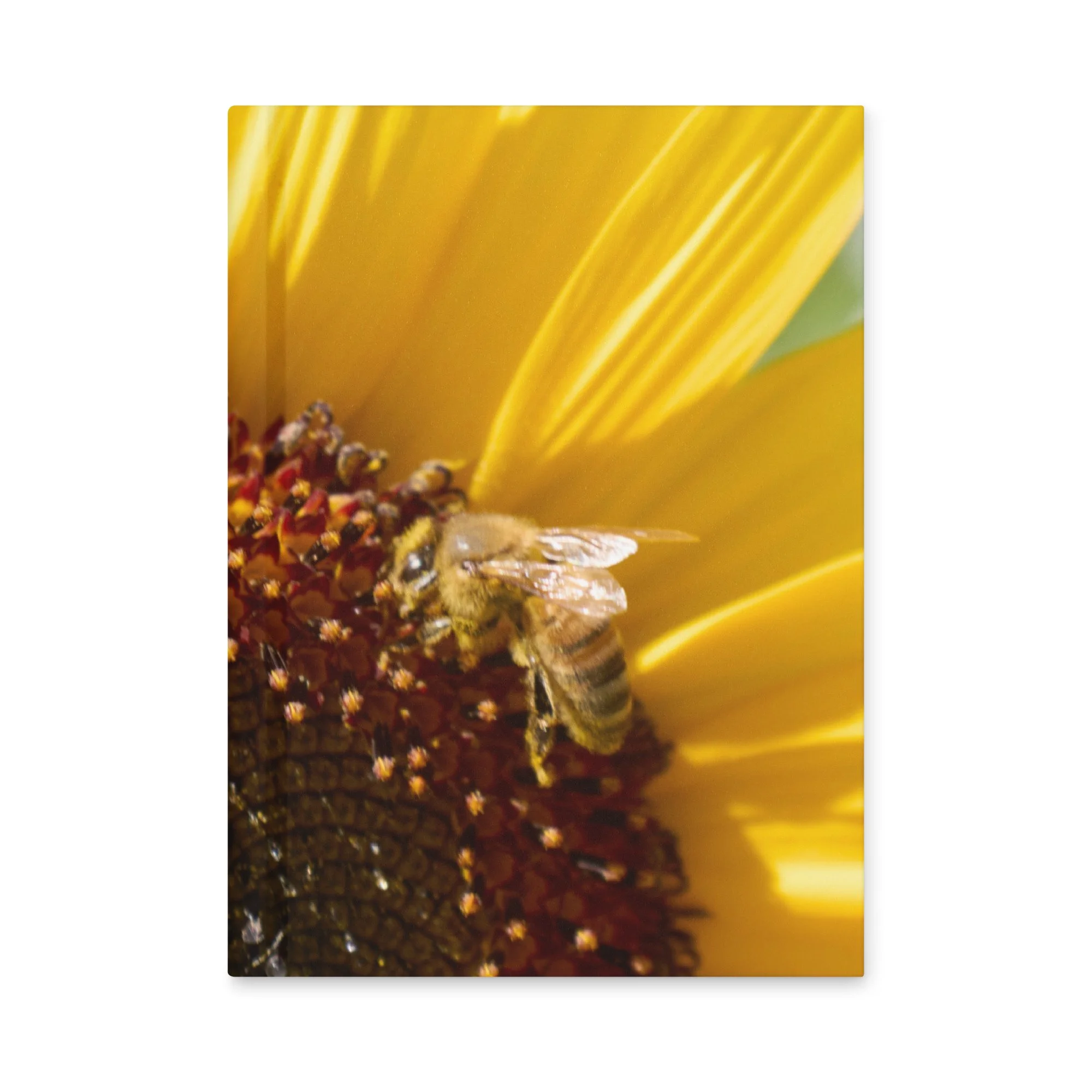 hardcover-journal-matte-white-8x5.75-front-6a3dc002be892.jpg