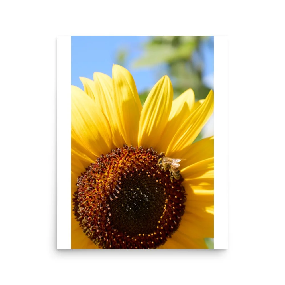 enhanced-matte-paper-poster-(in)-16x20-front-6a3dddf4ac0bc.jpg