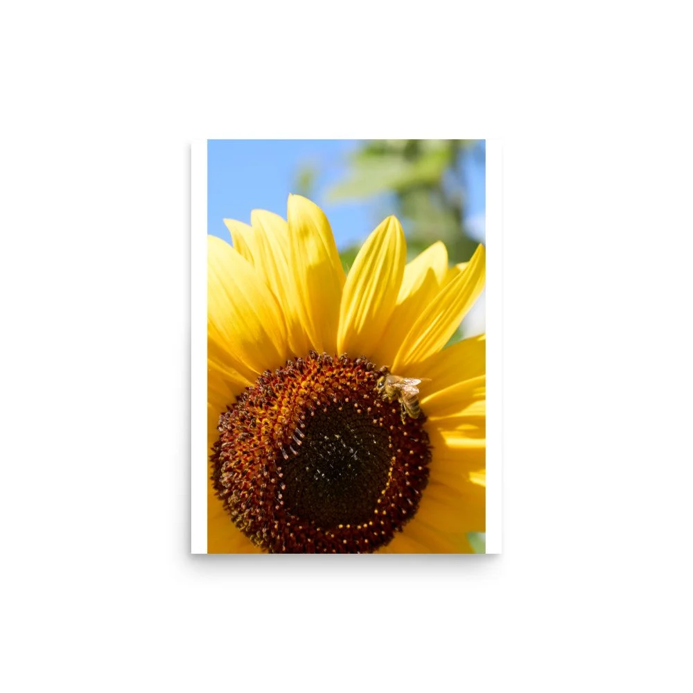 enhanced-matte-paper-poster-(in)-12x16-front-6a3dddf4acb40.jpg