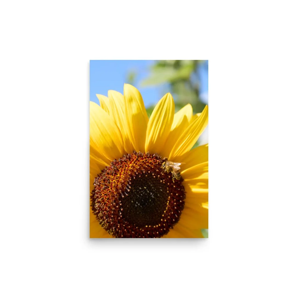 enhanced-matte-paper-poster-(in)-12x18-front-6a3dddf4acbde.jpg