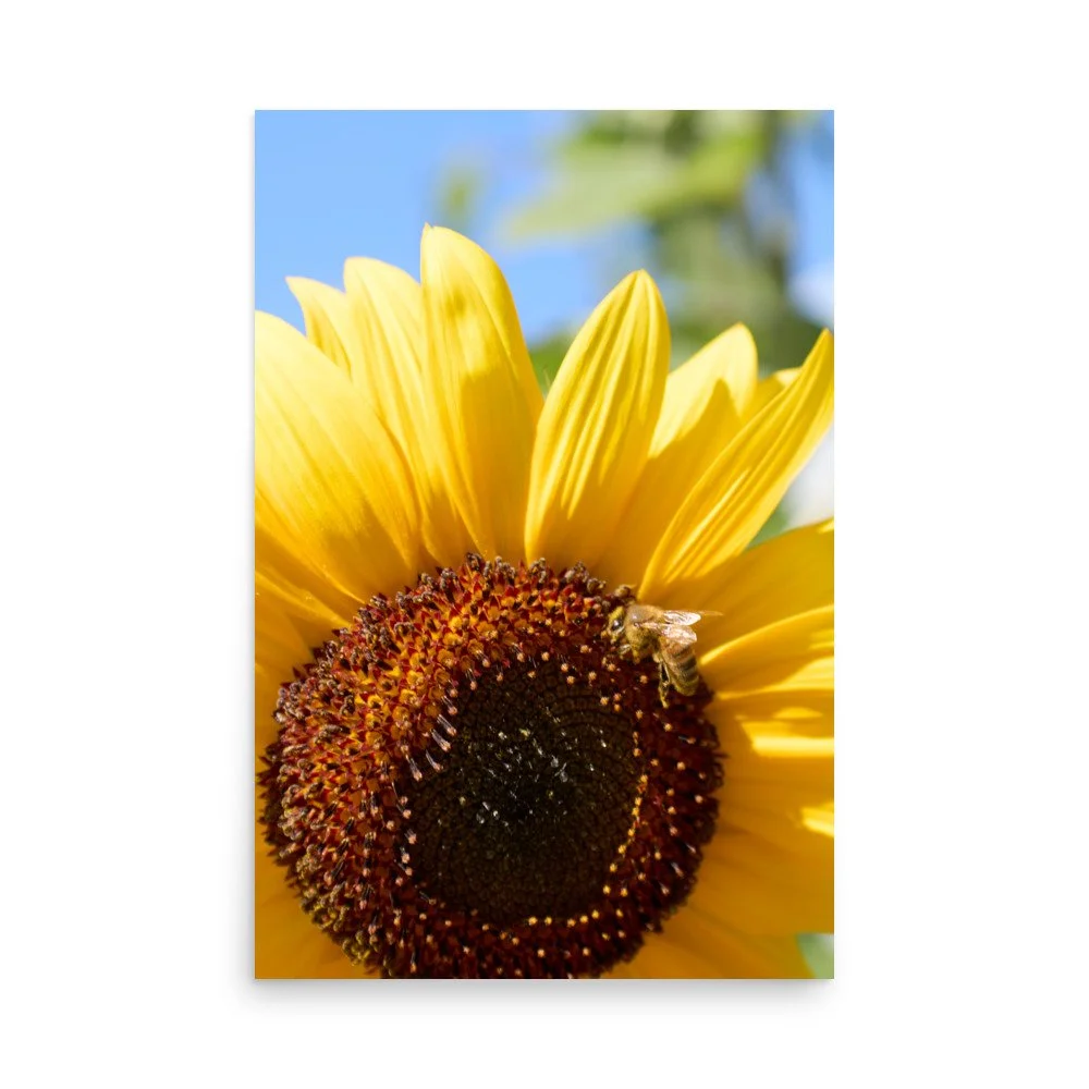 enhanced-matte-paper-poster-(in)-24x36-front-6a3dddf4acd21.jpg