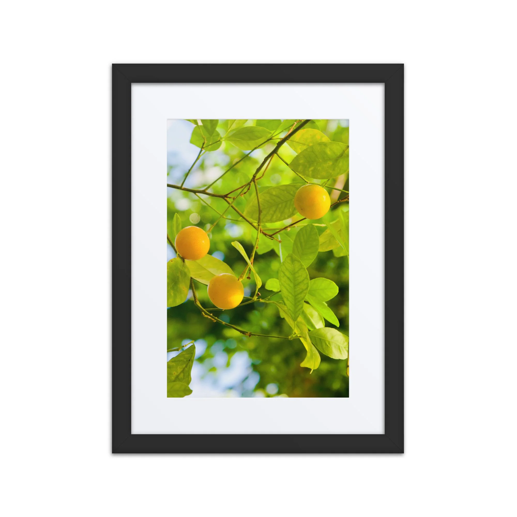 matte-paper-framed-poster-with-mat-(in)-black-12x16-front-6a3de1b764aec.jpg