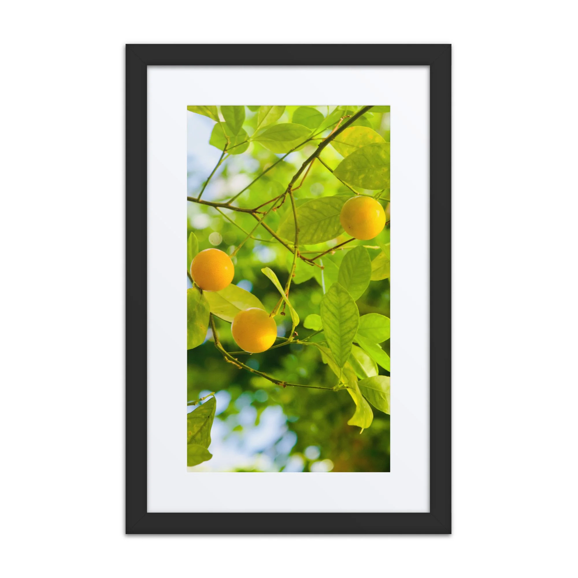 matte-paper-framed-poster-with-mat-(in)-black-12x18-front-6a3de1b7654cf.jpg