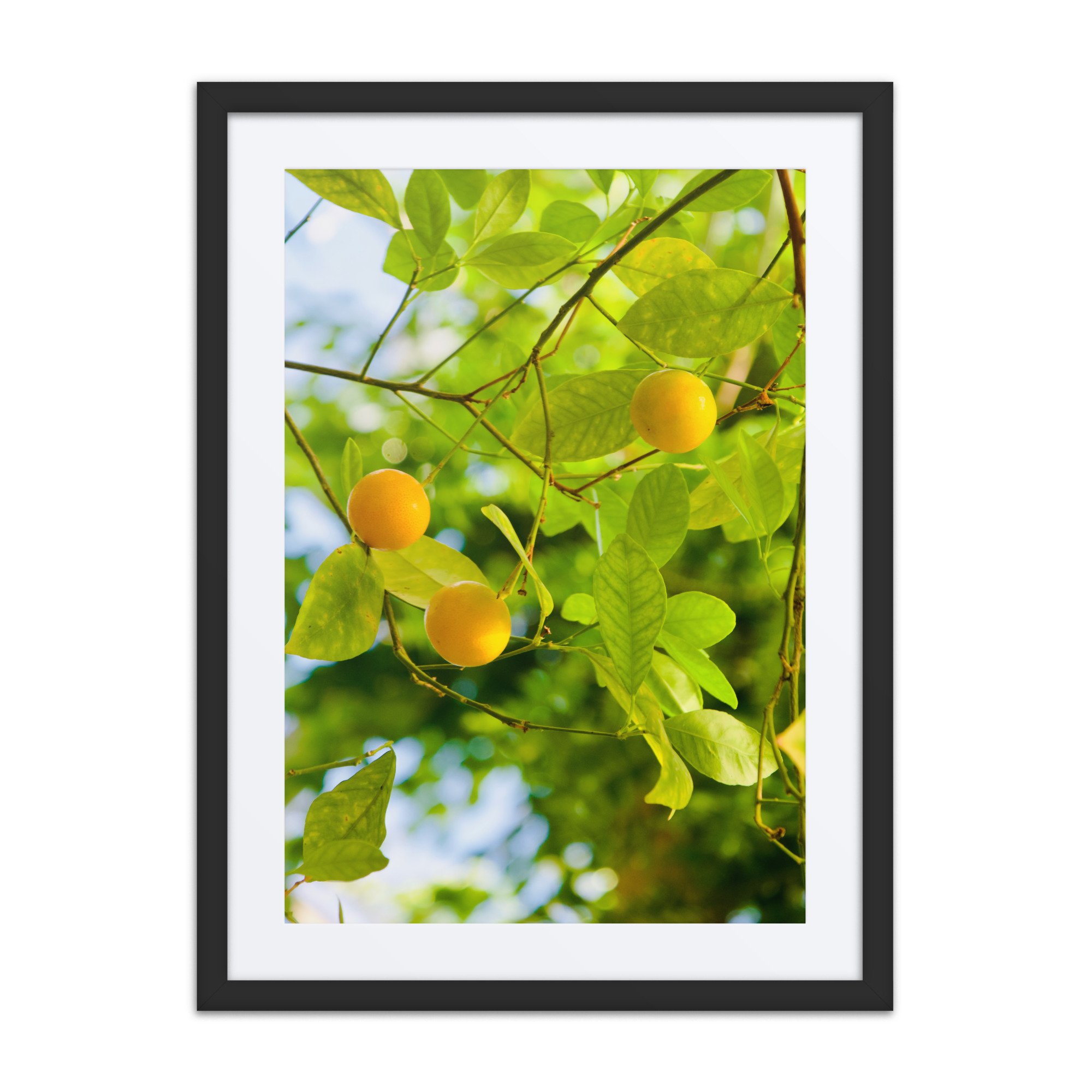 matte-paper-framed-poster-with-mat-(in)-black-18x24-front-6a3de1b765554.jpg