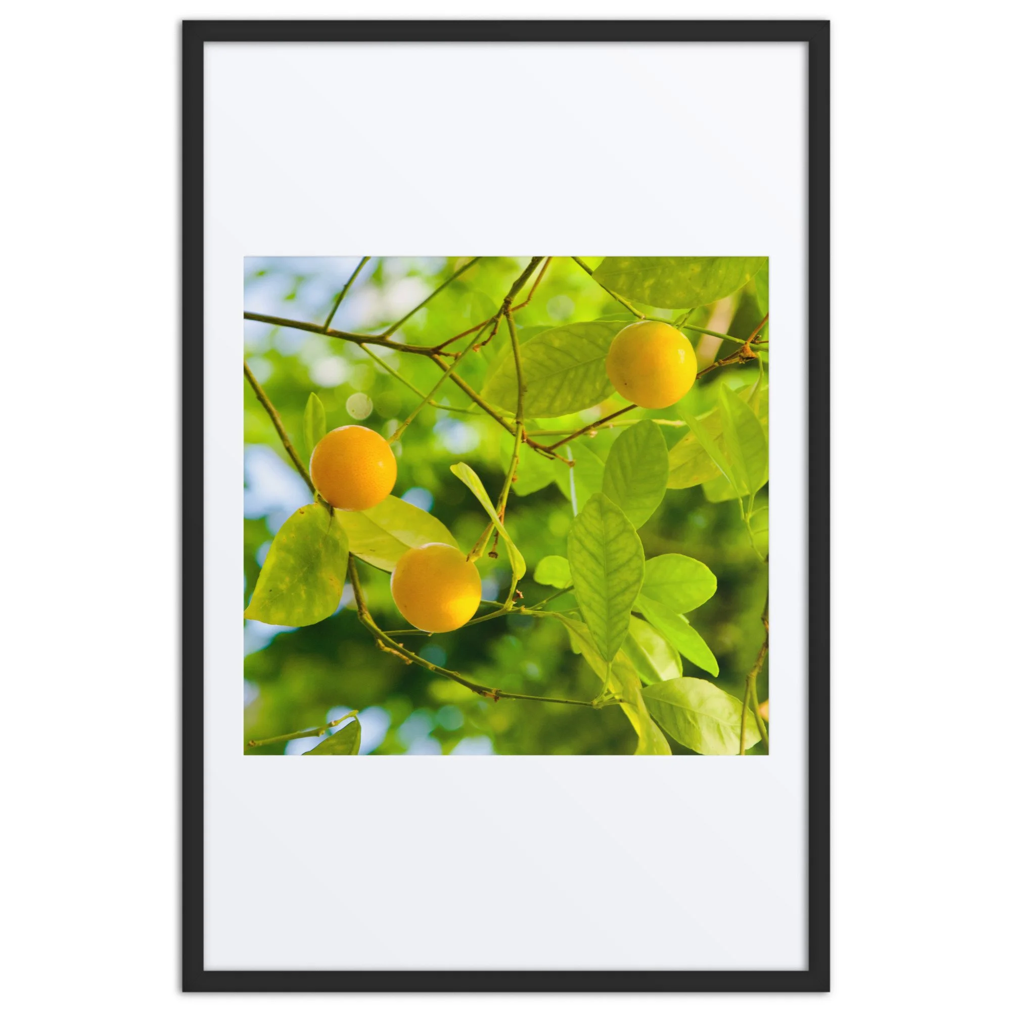 matte-paper-framed-poster-with-mat-(in)-black-24x36-front-6a3de1b765582.jpg