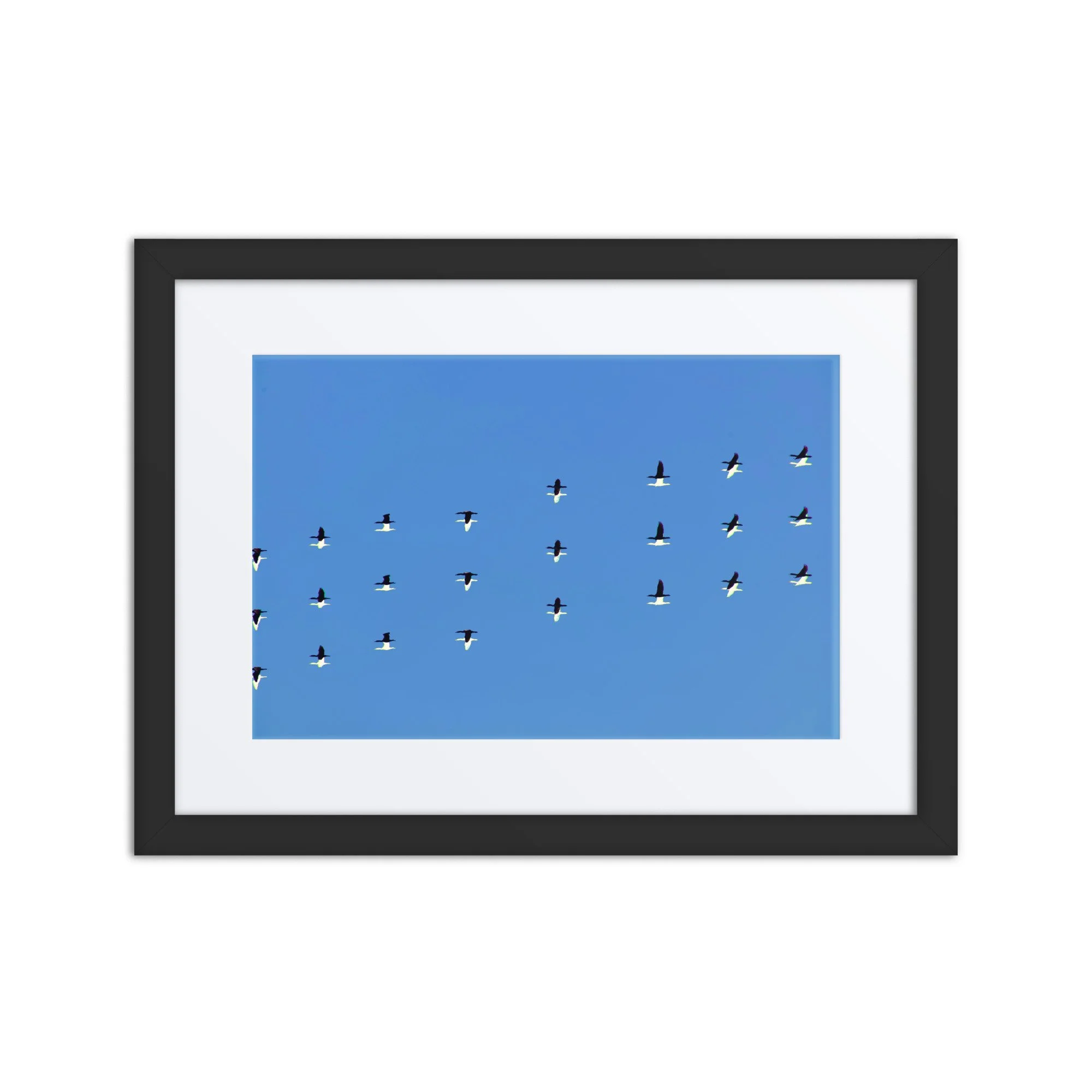 matte-paper-framed-poster-with-mat-(in)-black-12x16-front-6a418f06af06a.jpg
