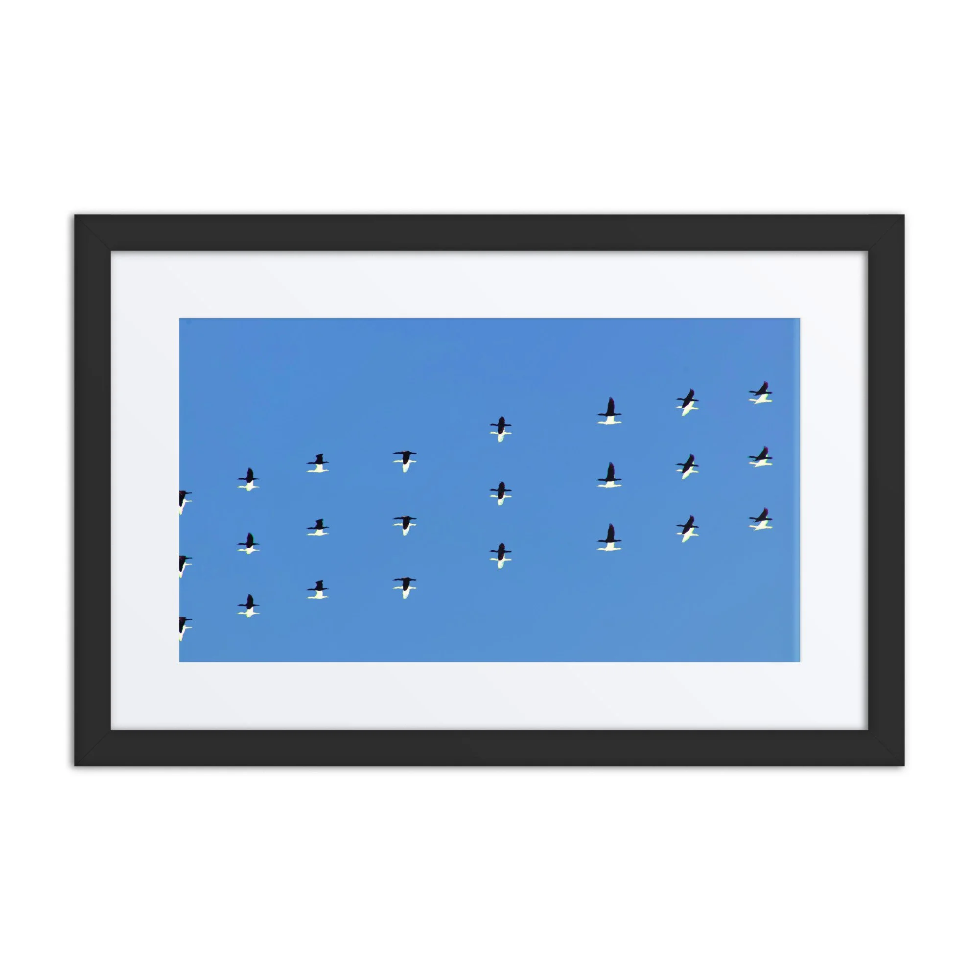 matte-paper-framed-poster-with-mat-(in)-black-12x18-front-6a418f06b0480.jpg