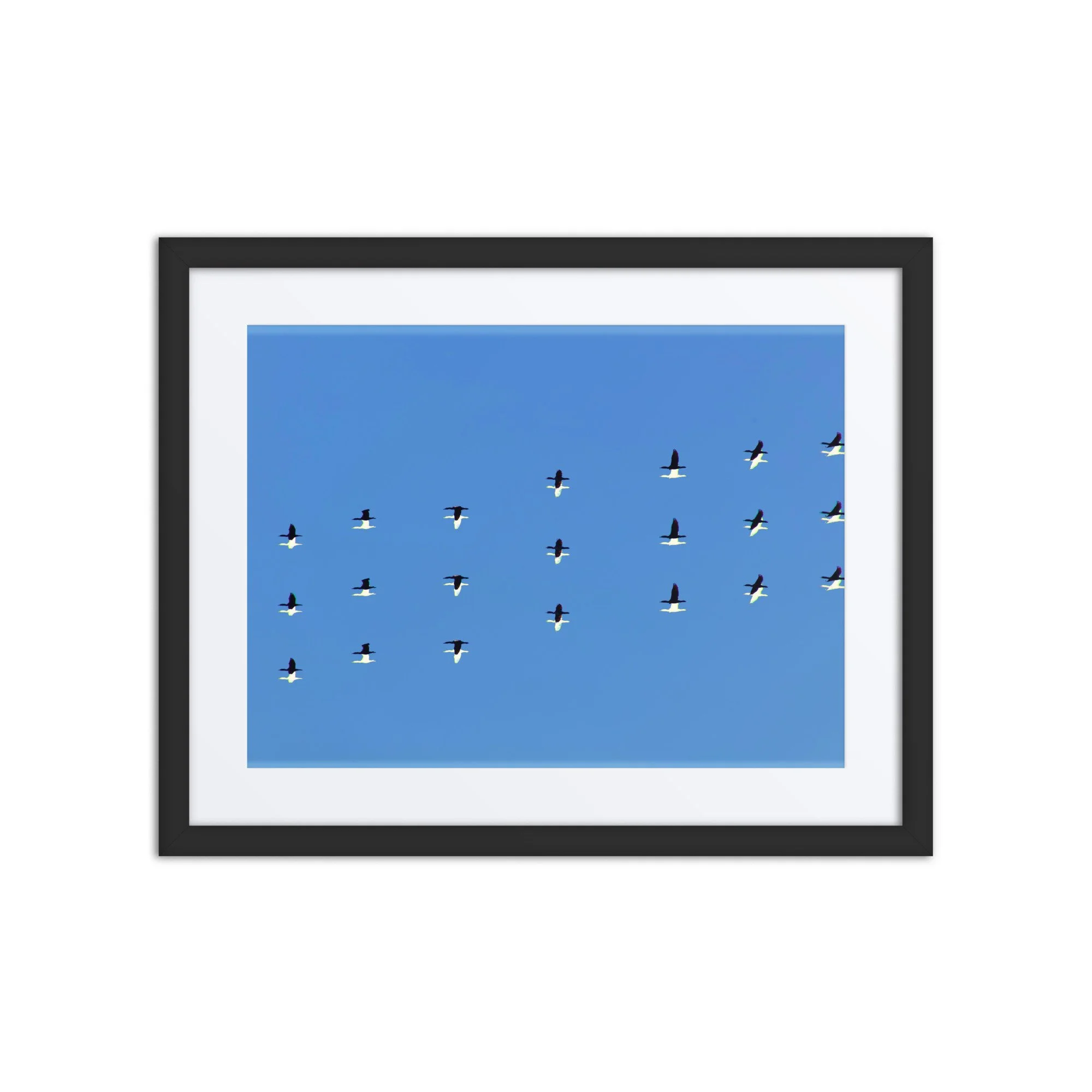 matte-paper-framed-poster-with-mat-(in)-black-16x20-front-6a418f06b0505.jpg
