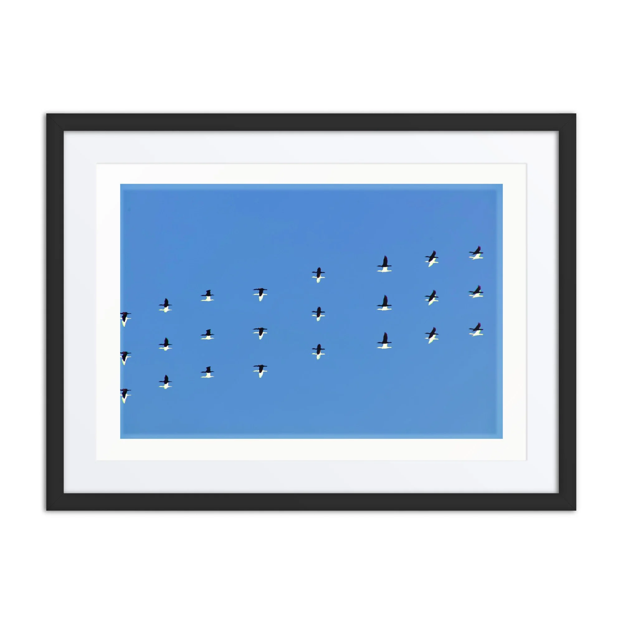 matte-paper-framed-poster-with-mat-(in)-black-18x24-front-6a418f06b0558.jpg