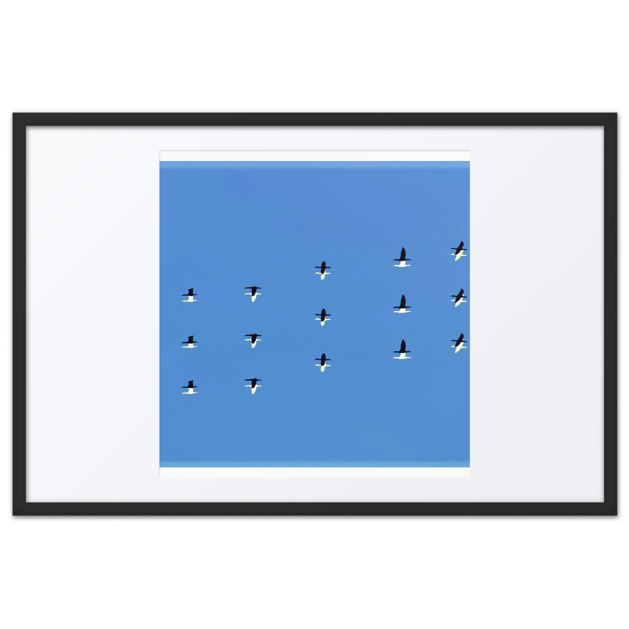 matte-paper-framed-poster-with-mat-(in)-black-24x36-front-6a418f06b05a6.jpg