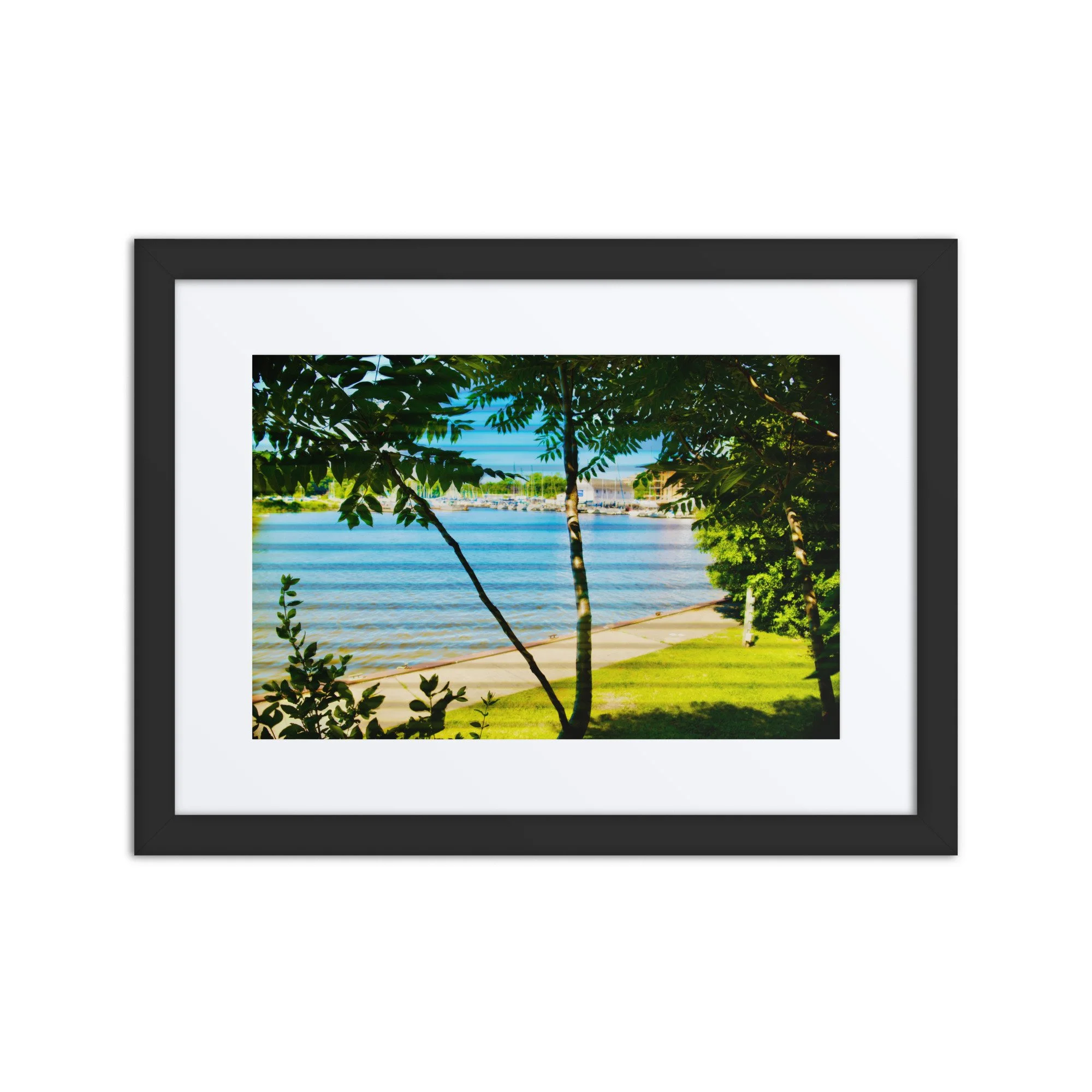 matte-paper-framed-poster-with-mat-(in)-black-12x16-front-6a418f608da03.jpg