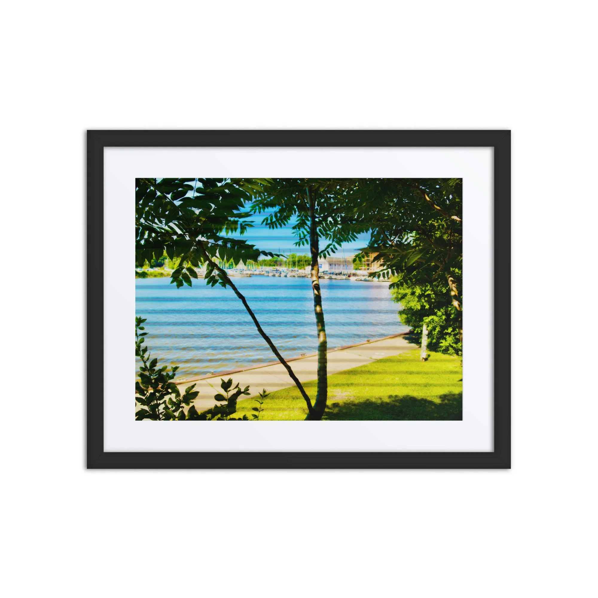 matte-paper-framed-poster-with-mat-(in)-black-16x20-front-6a418f608ee65.jpg