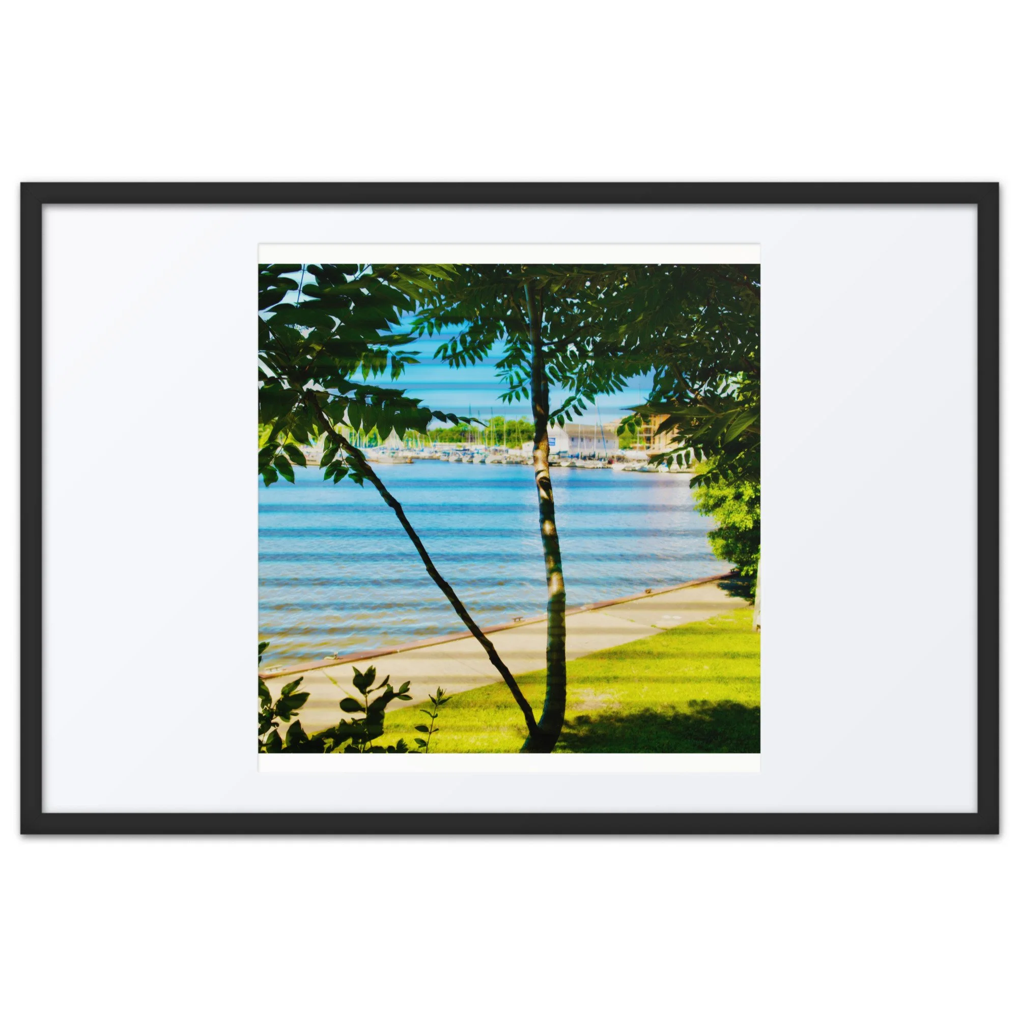 matte-paper-framed-poster-with-mat-(in)-black-24x36-front-6a418f608eeda.jpg
