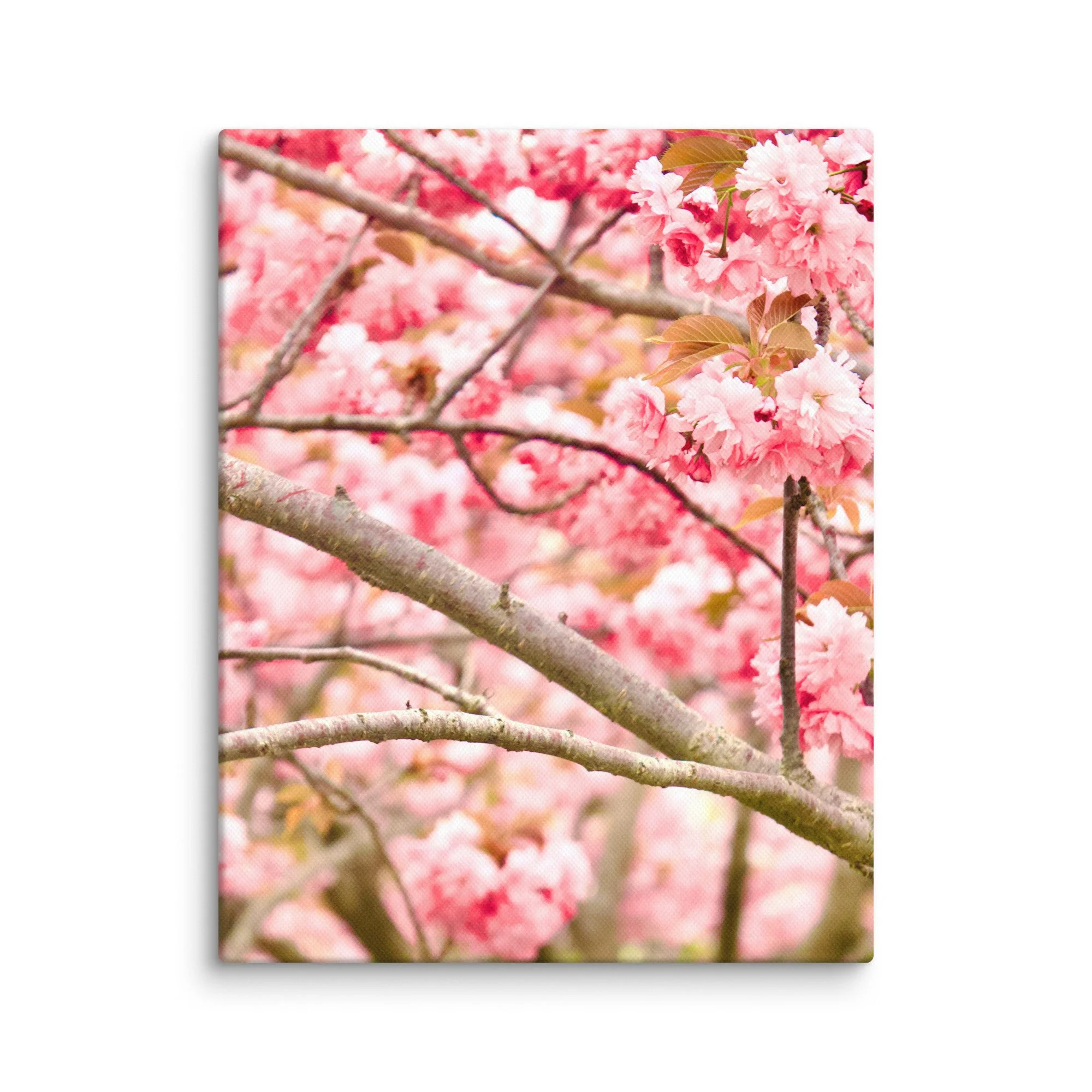 canvas-(in)-11x14-wall-6a4551d94dfe7.jpg