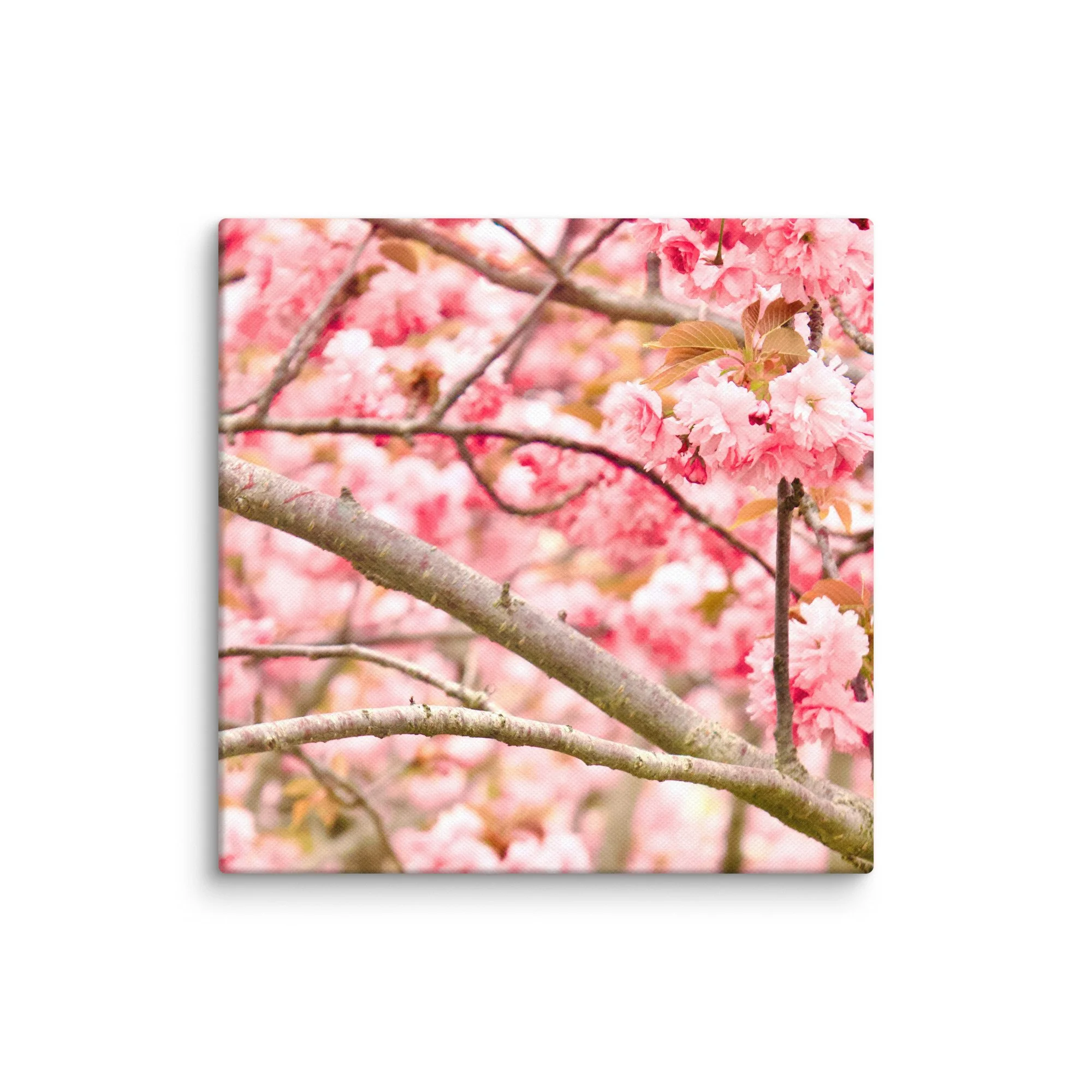 canvas-(in)-6x6-wall-6a4551d94e8cb.jpg