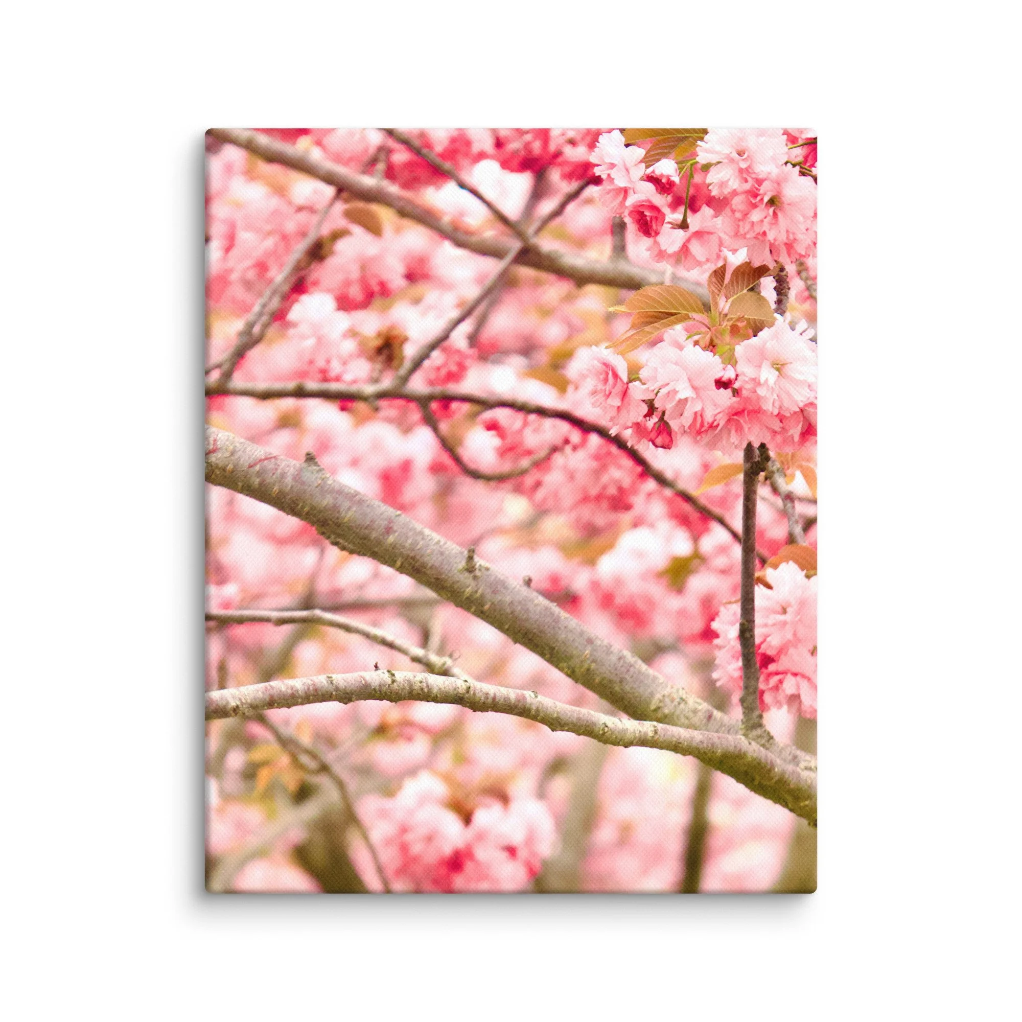 canvas-(in)-8x10-wall-6a4551d94e928.jpg