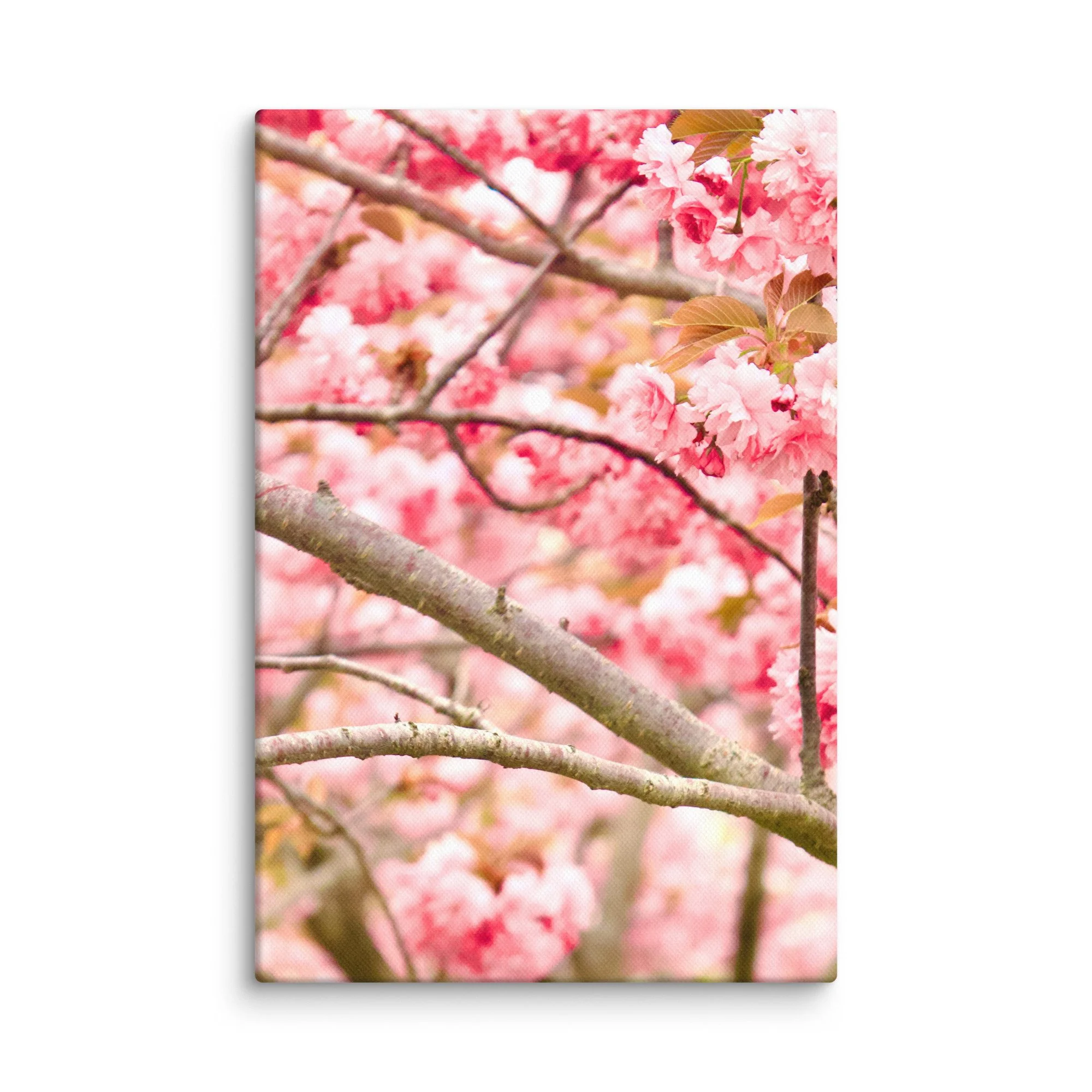 canvas-(in)-8x12-wall-6a4551d94e987.jpg