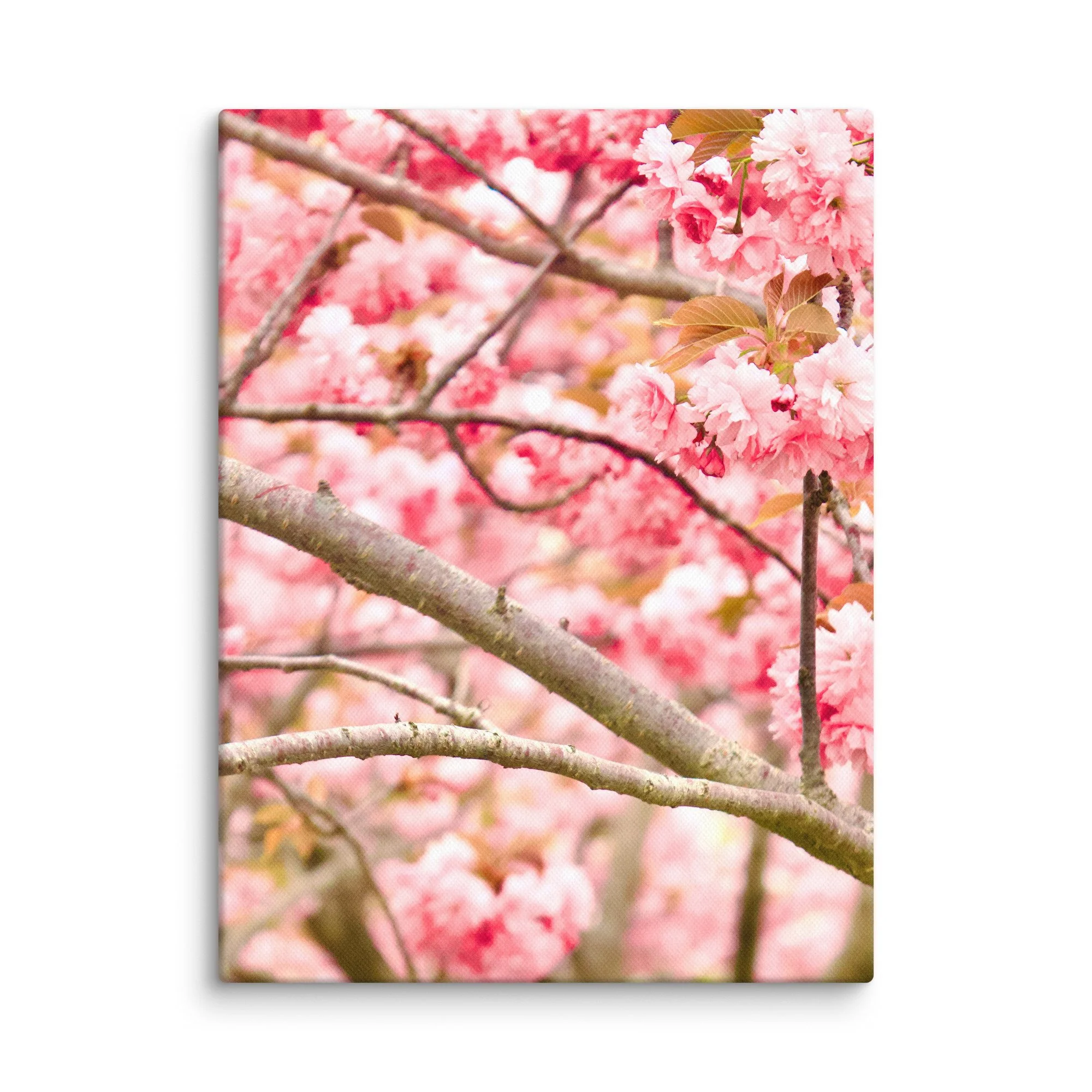 canvas-(in)-9x12-wall-6a4551d94ea13.jpg