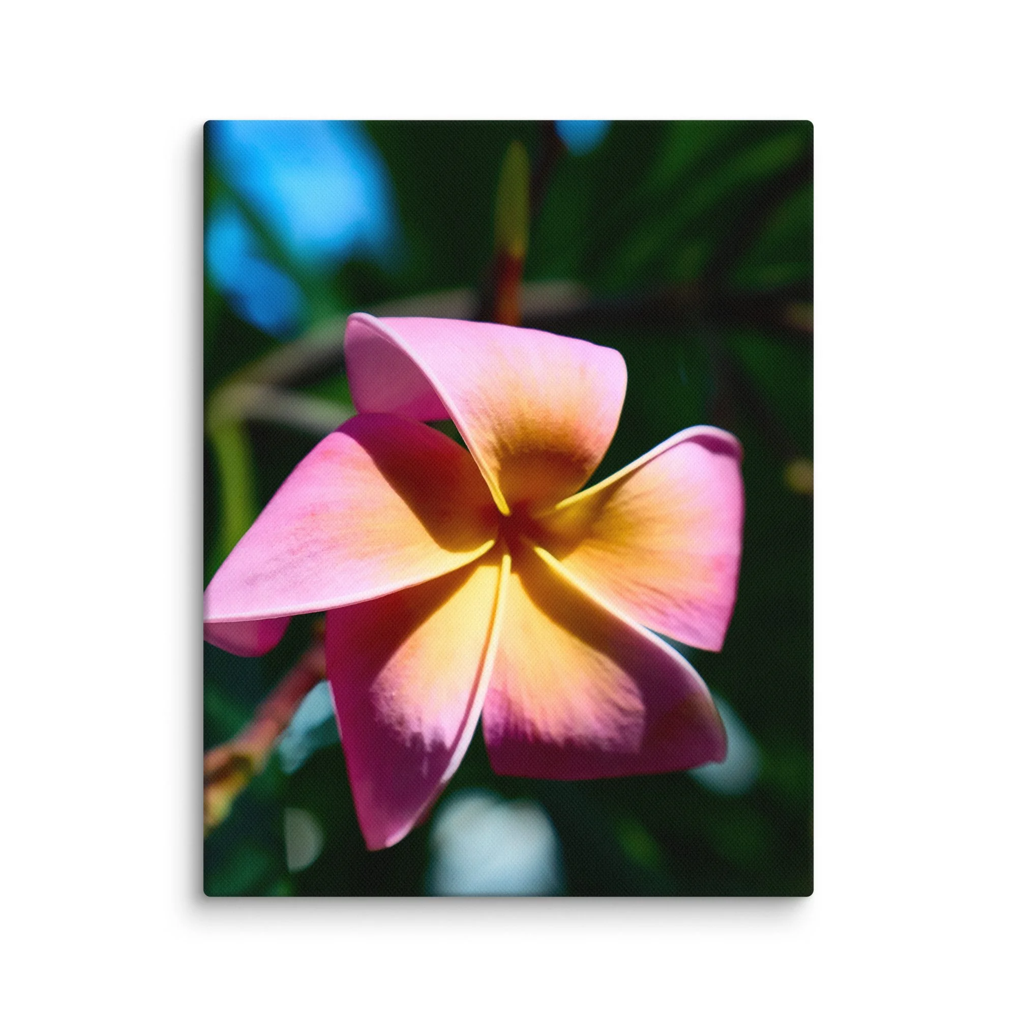 canvas-(in)-11x14-wall-6a45536c84a21.jpg