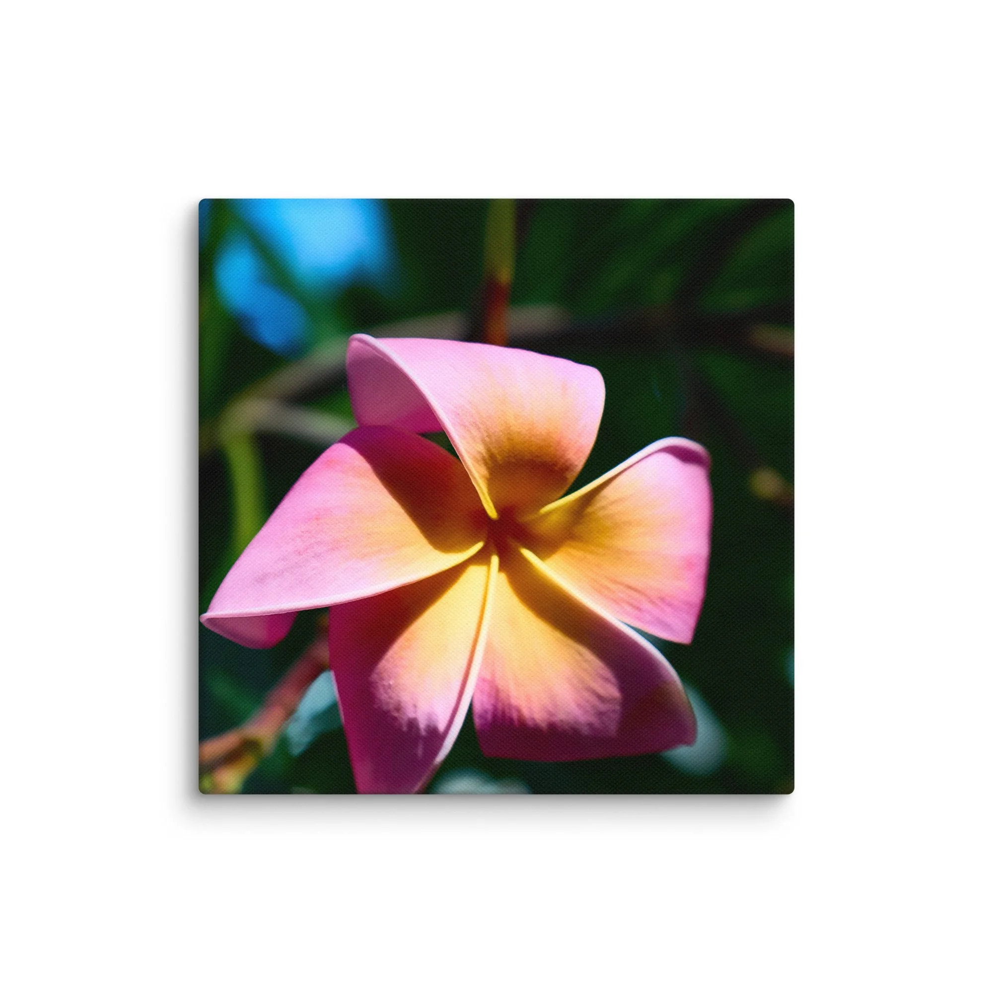 canvas-(in)-6x6-wall-6a45536c8548e.jpg