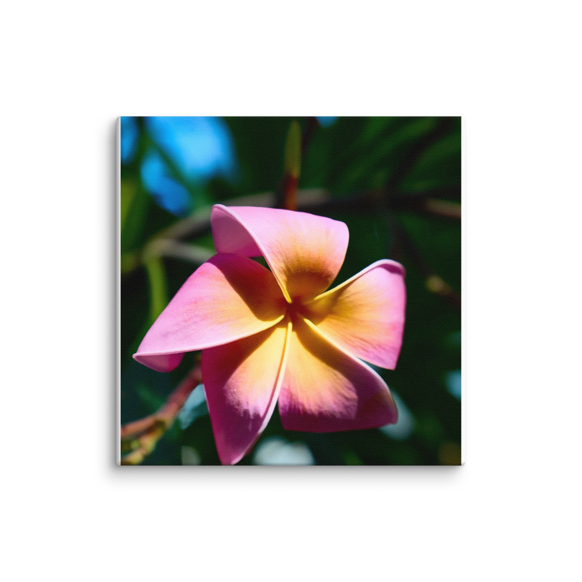 canvas-(in)-8x8-wall-6a45536c85592.jpg