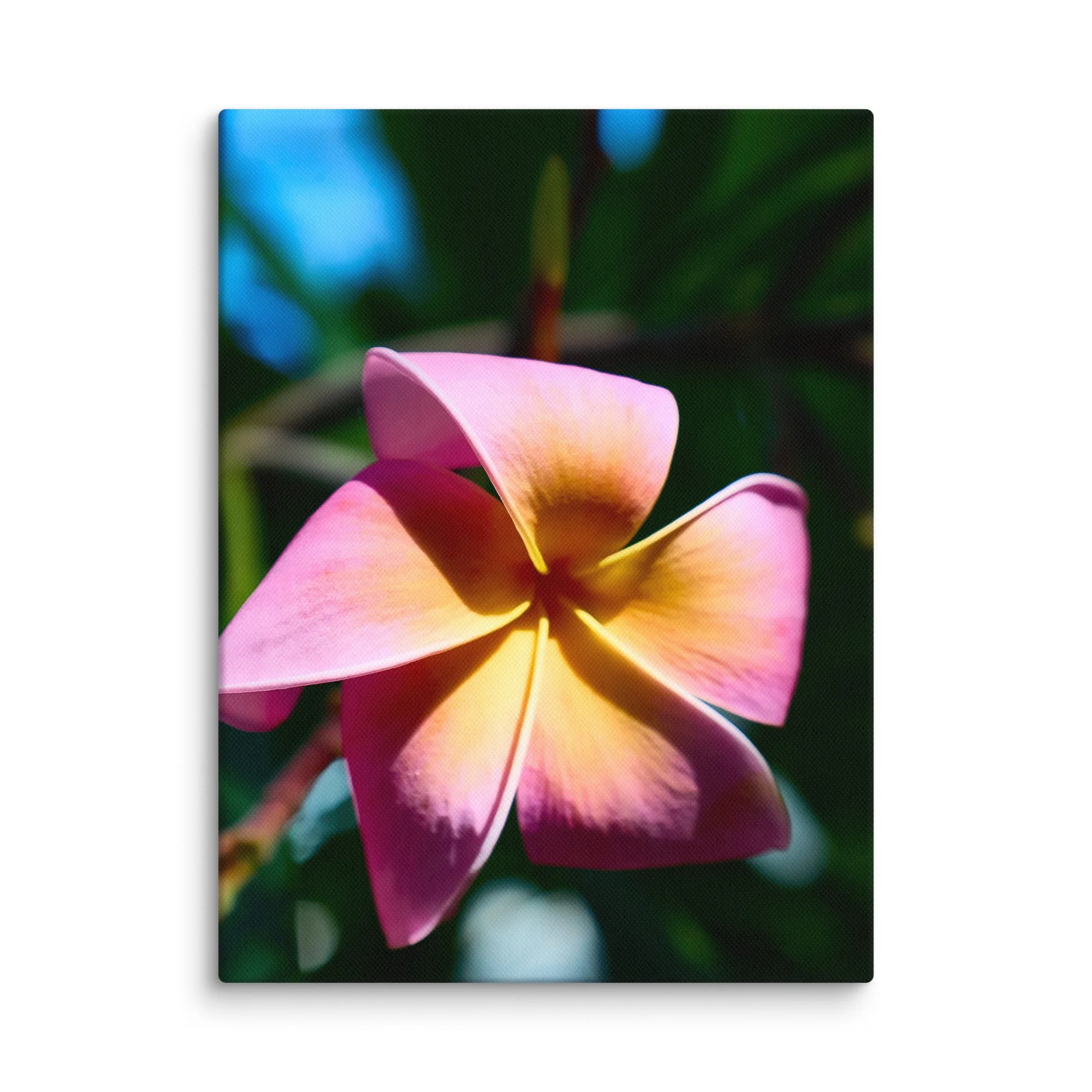 canvas-(in)-9x12-wall-6a45536c855d4.jpg