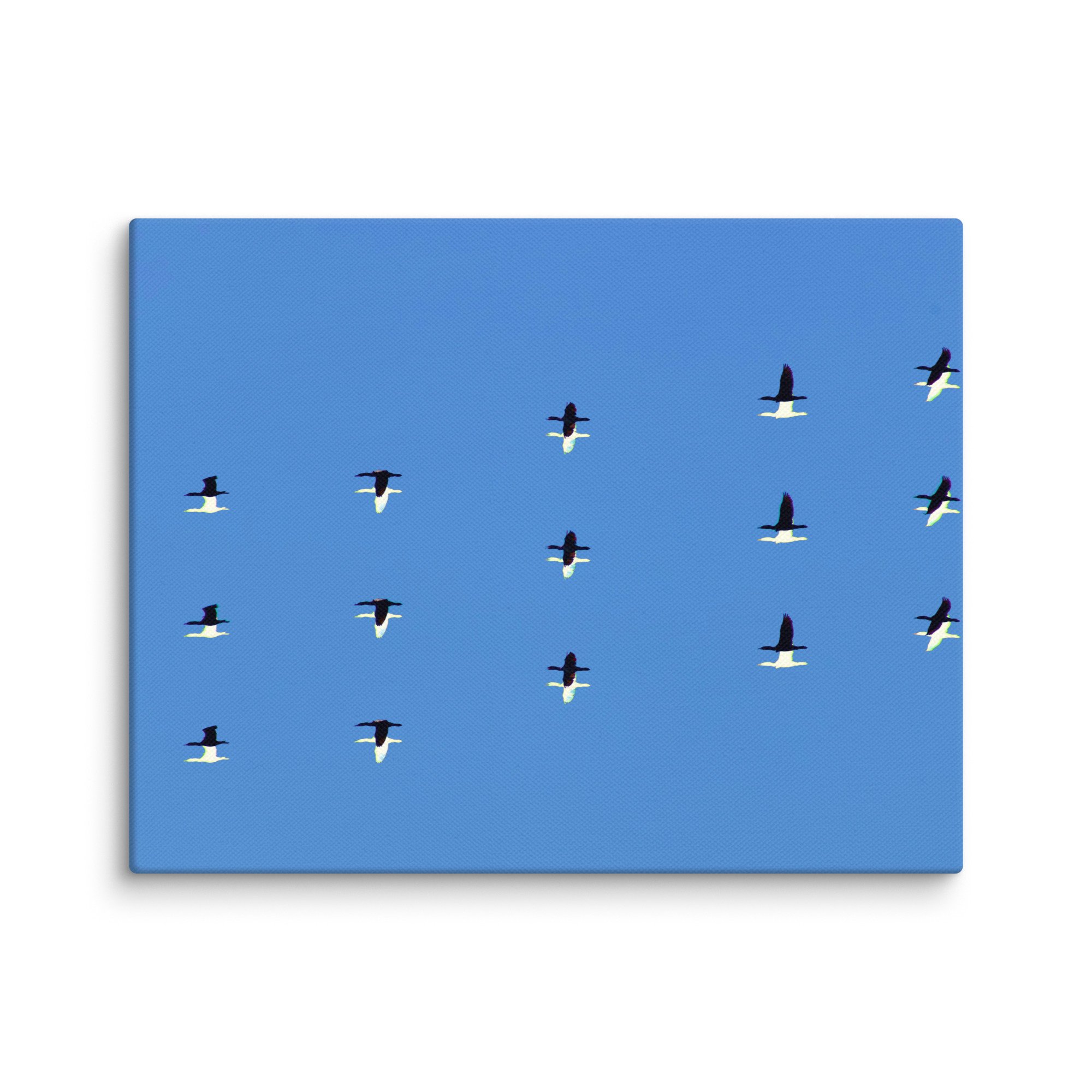 canvas-(in)-11x14-wall-6a456dda7b9c7.jpg