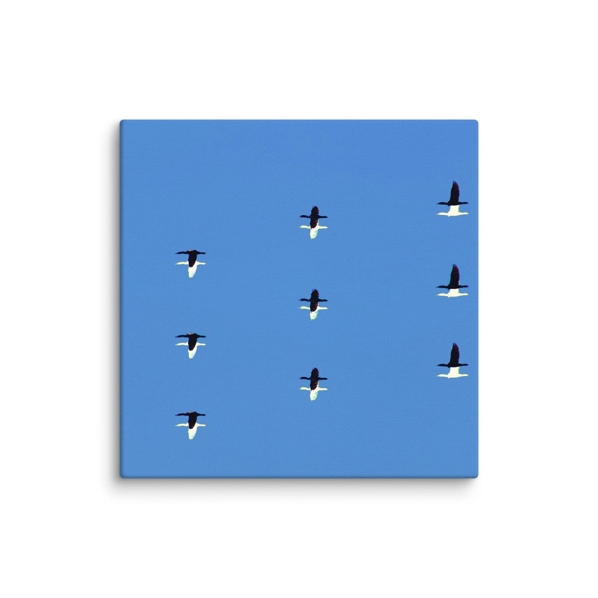 canvas-(in)-6x6-wall-6a456dda7c4d7.jpg