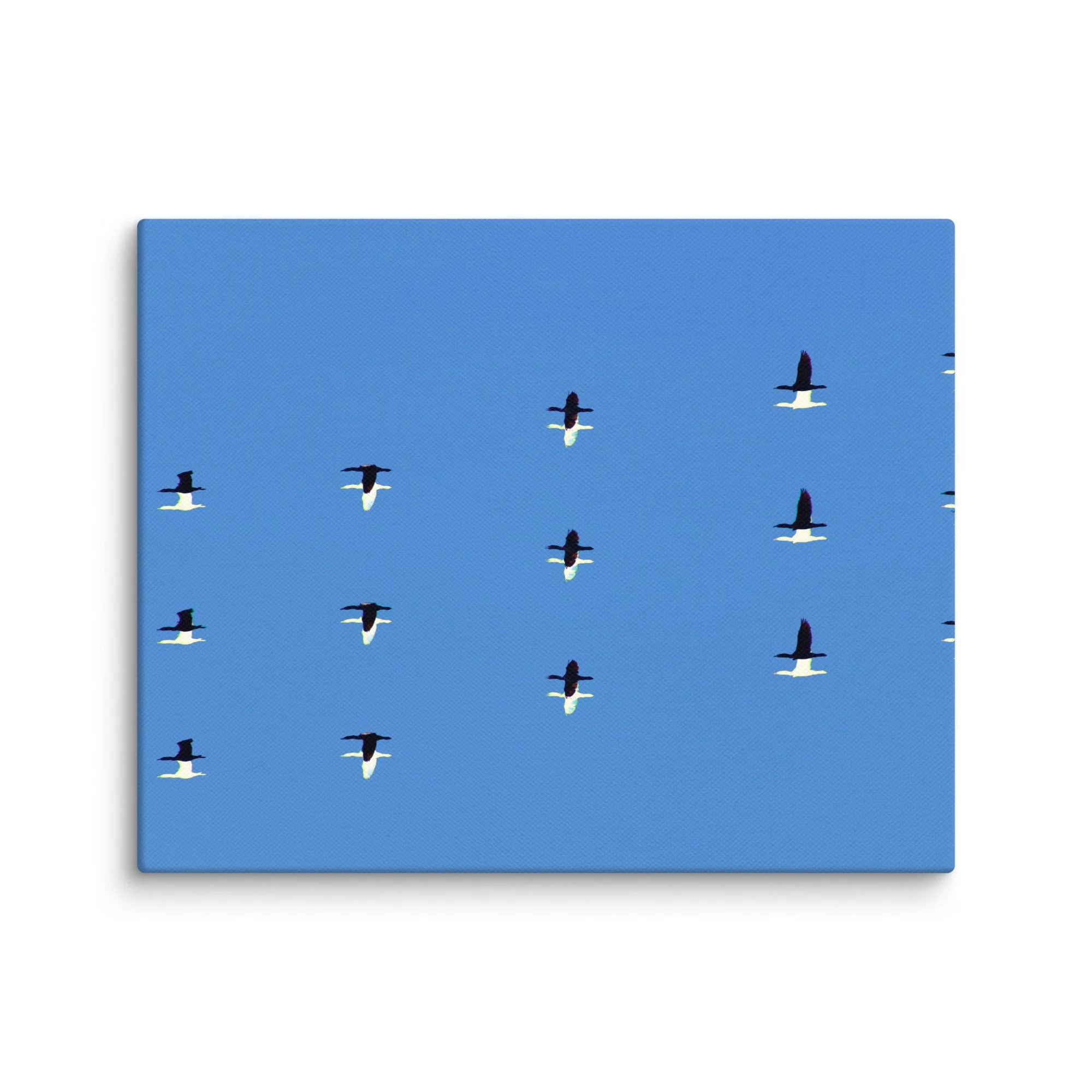 canvas-(in)-8x10-wall-6a456dda7c55d.jpg