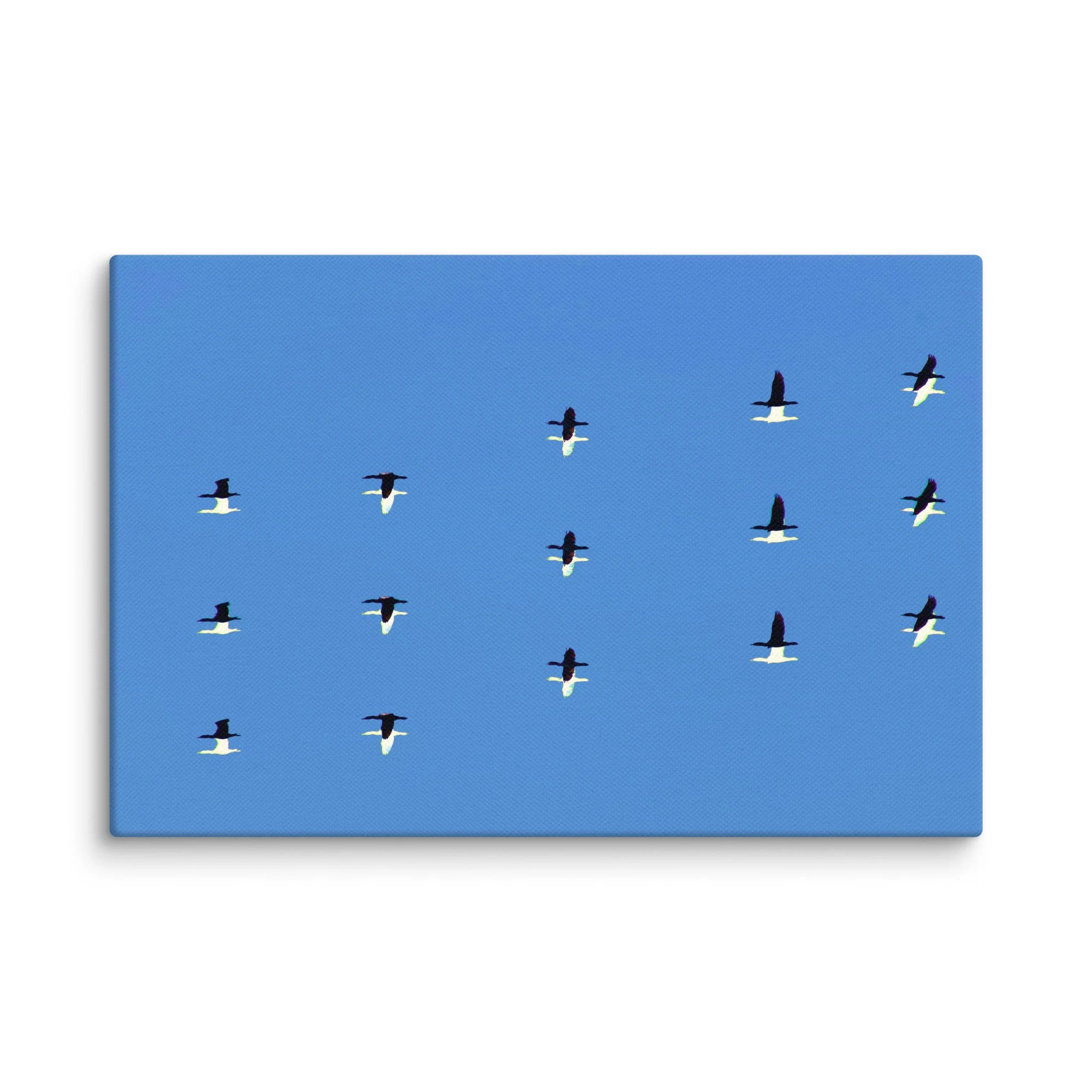 canvas-(in)-8x12-wall-6a456dda7c5ab.jpg