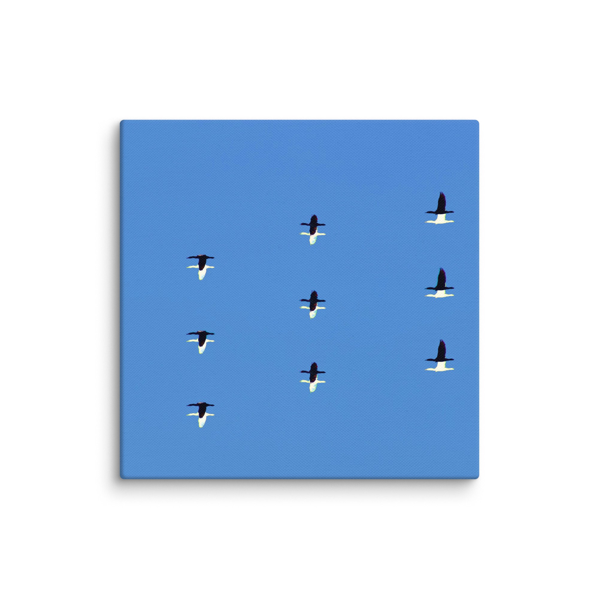 canvas-(in)-8x8-wall-6a456dda7c60d.jpg