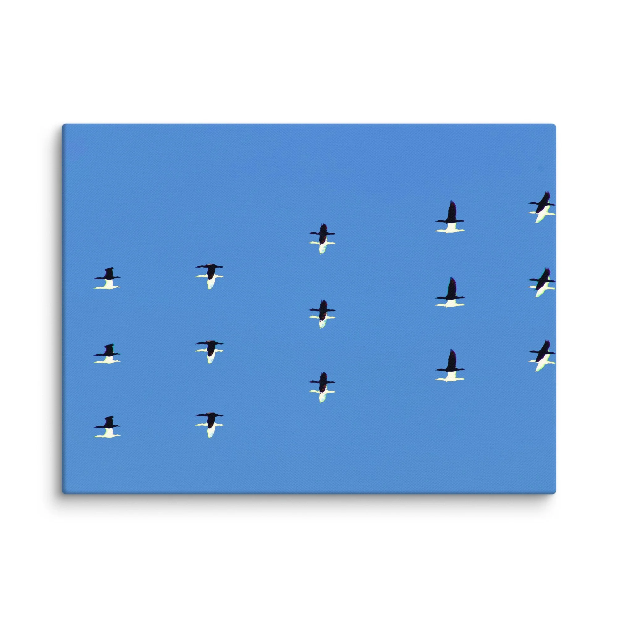 canvas-(in)-9x12-wall-6a456dda7c662.jpg