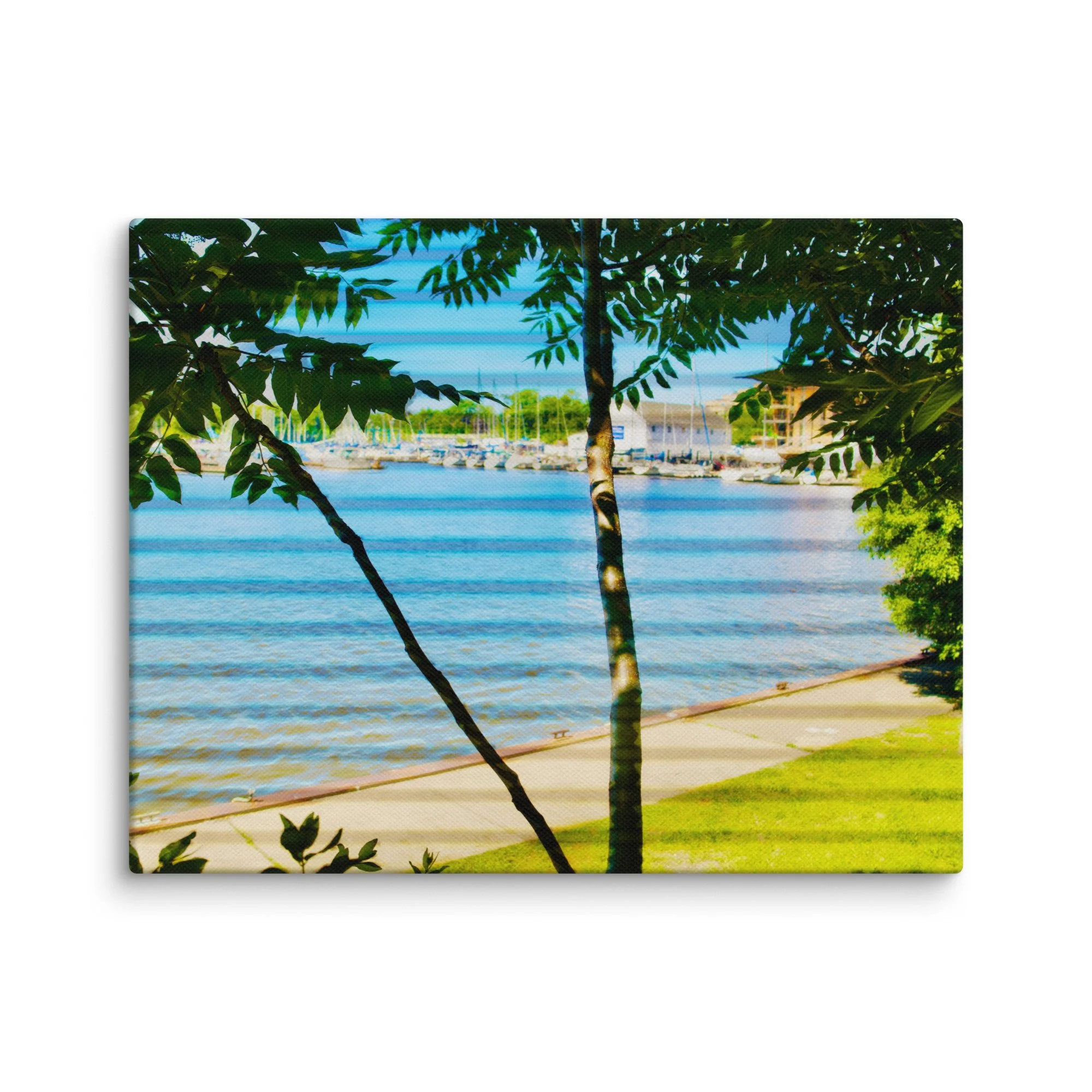 canvas-(in)-11x14-wall-6a456f4308666.jpg
