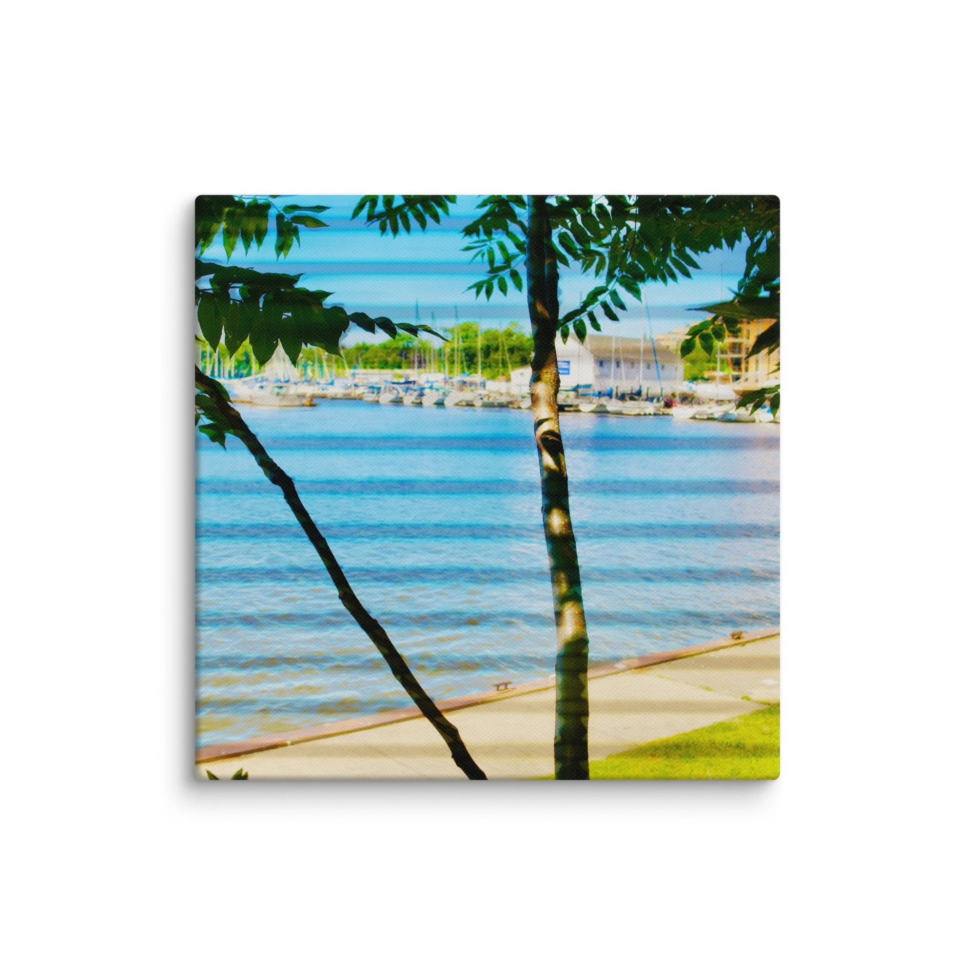 canvas-(in)-6x6-wall-6a456f43090af.jpg
