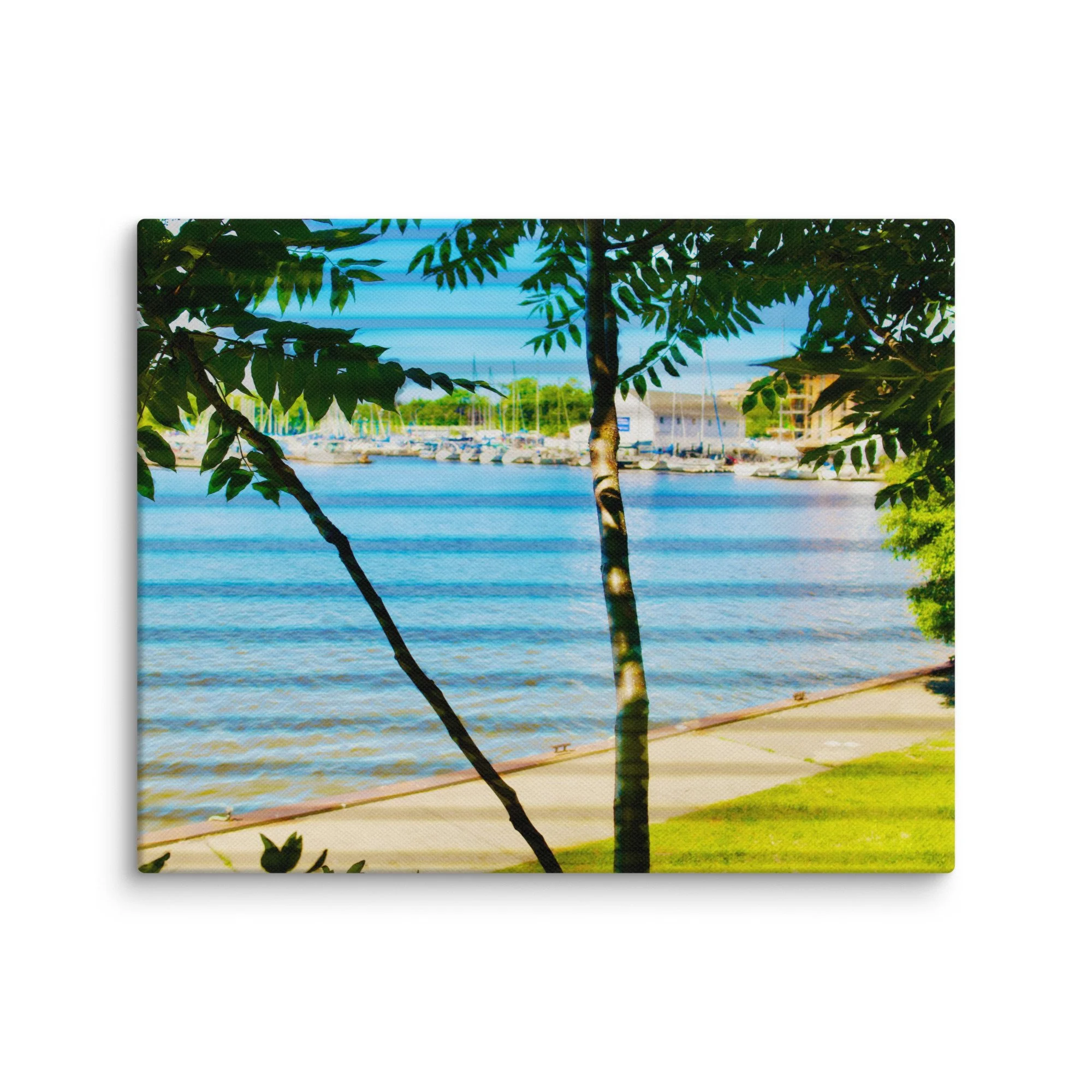 canvas-(in)-8x10-wall-6a456f430912d.jpg