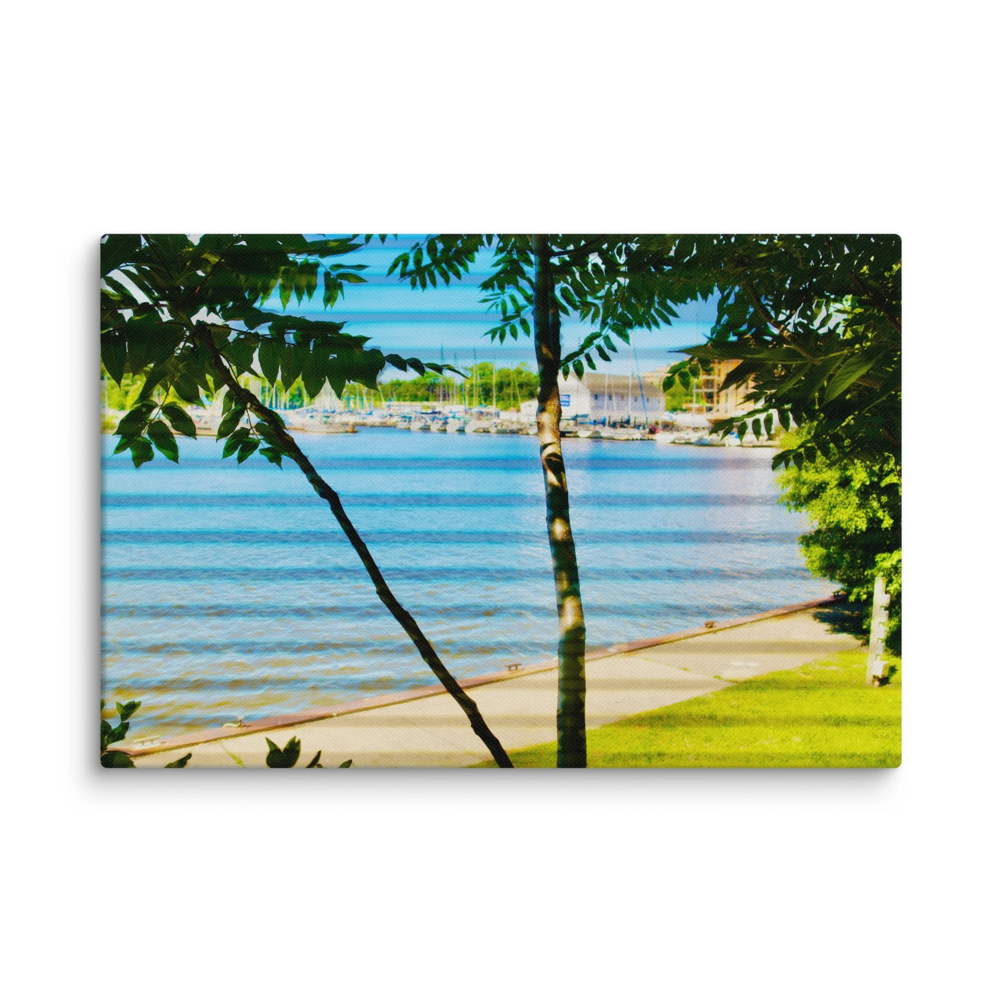 canvas-(in)-8x12-wall-6a456f430917e.jpg