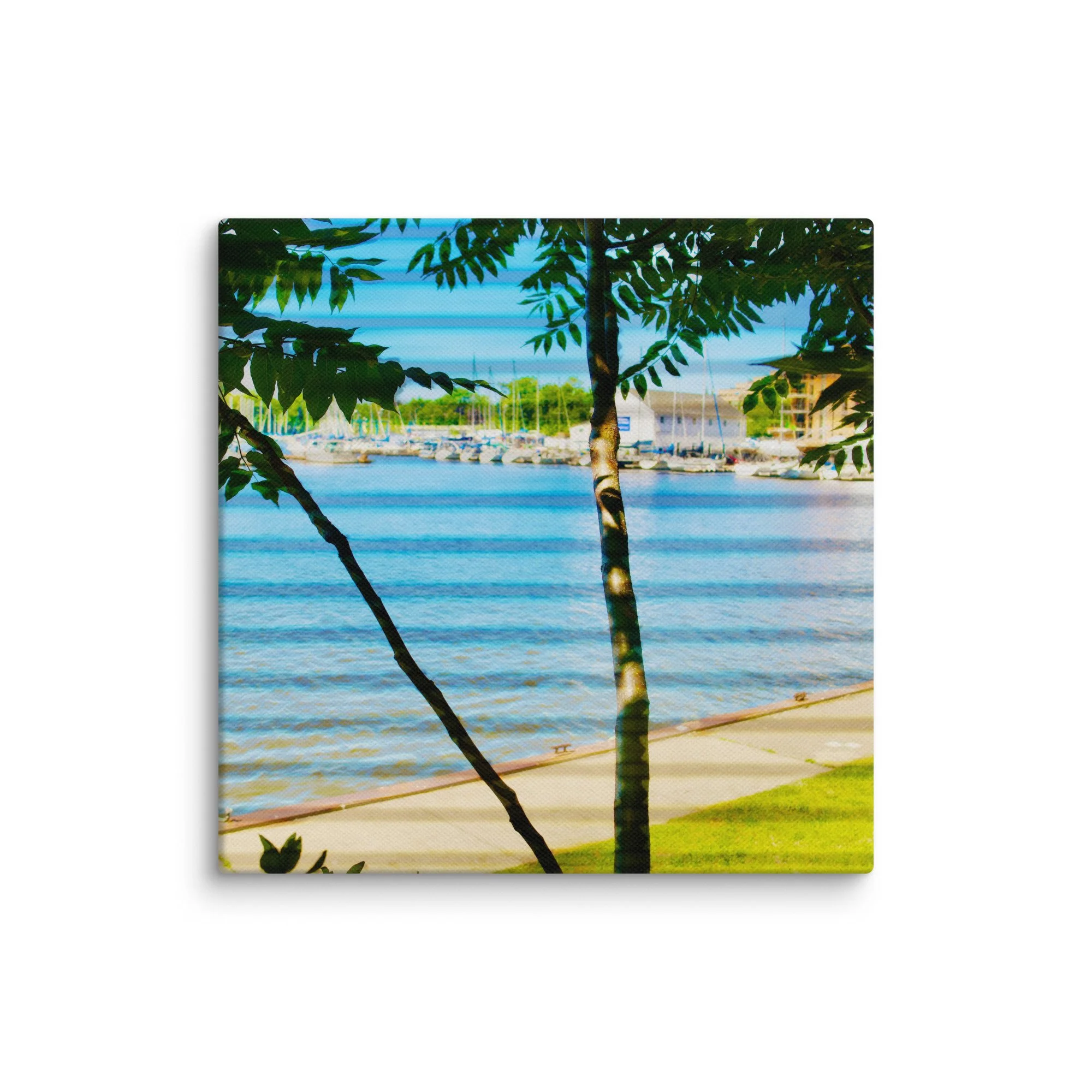 canvas-(in)-8x8-wall-6a456f43091cb.jpg
