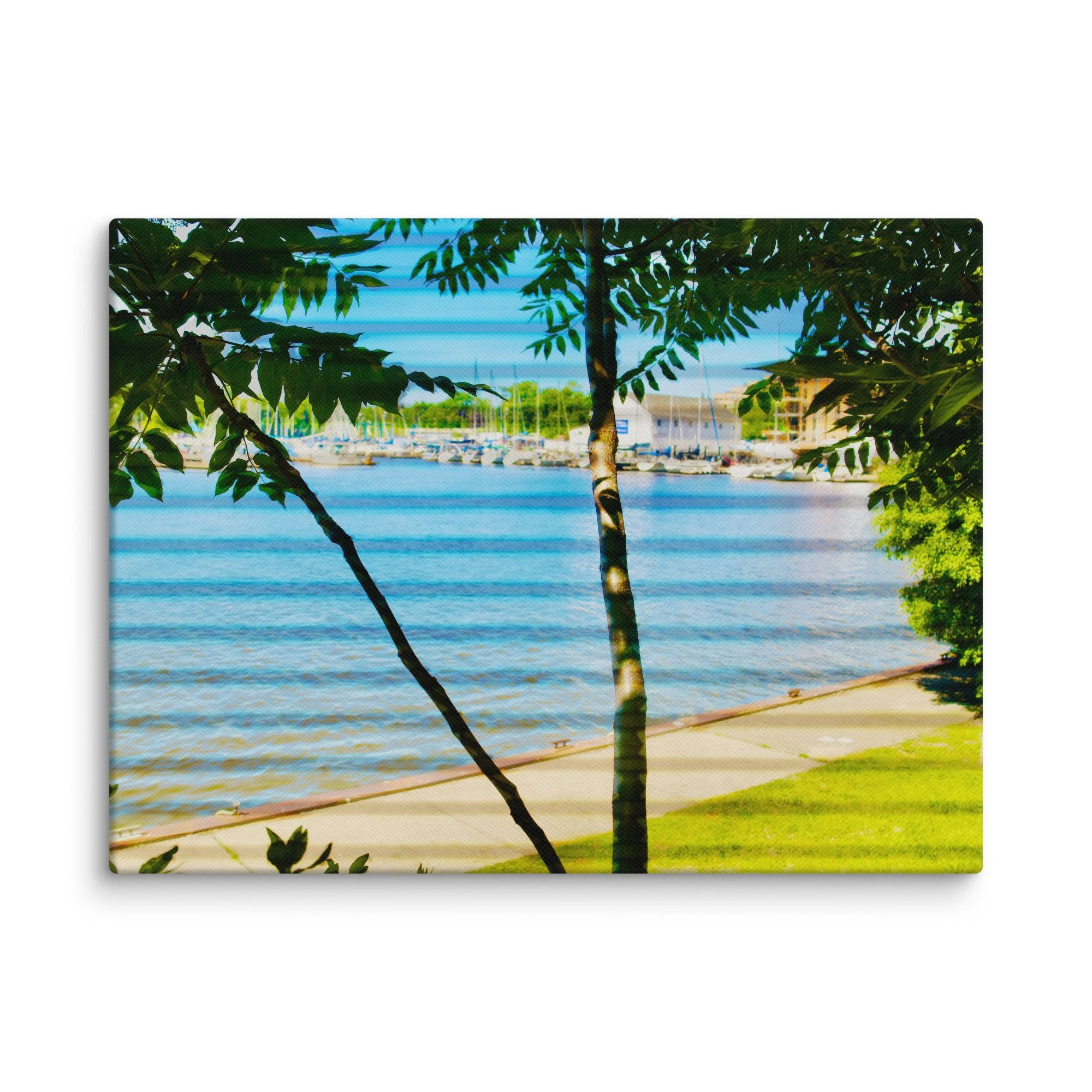 canvas-(in)-9x12-wall-6a456f4309213.jpg