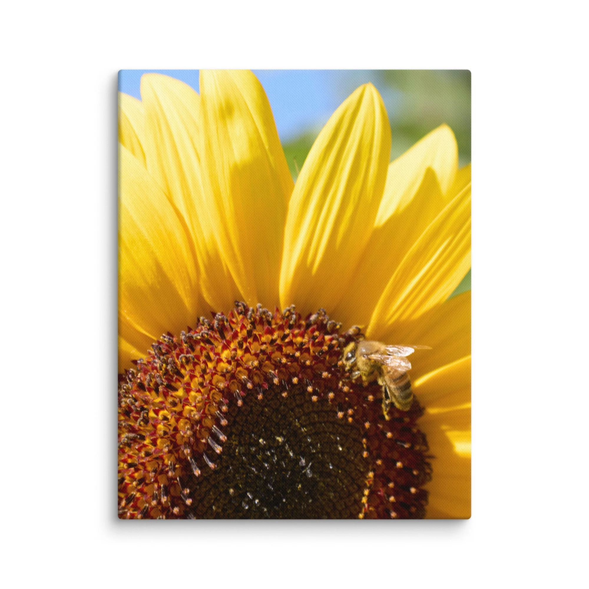 canvas-(in)-11x14-wall-6a457170ae3a8.jpg