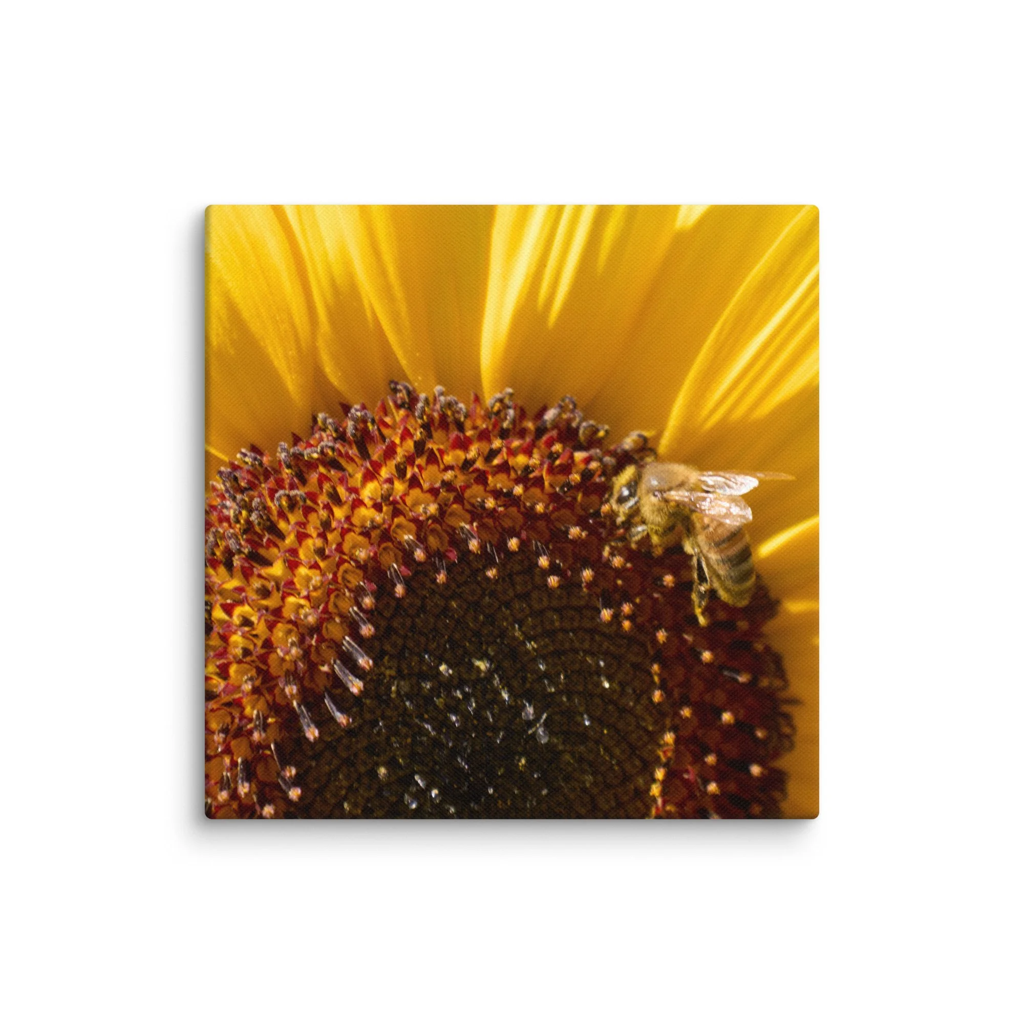 canvas-(in)-6x6-wall-6a457170aed5b.jpg