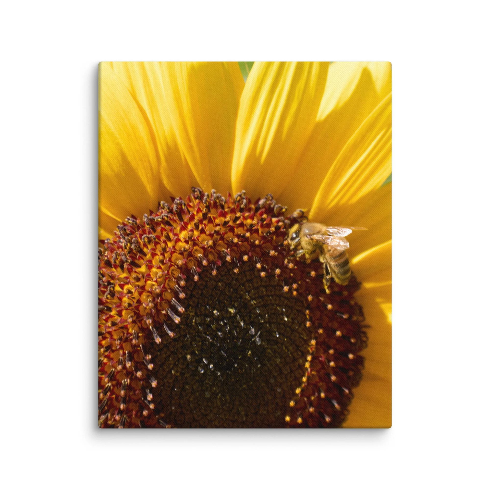 canvas-(in)-8x10-wall-6a457170aedc3.jpg