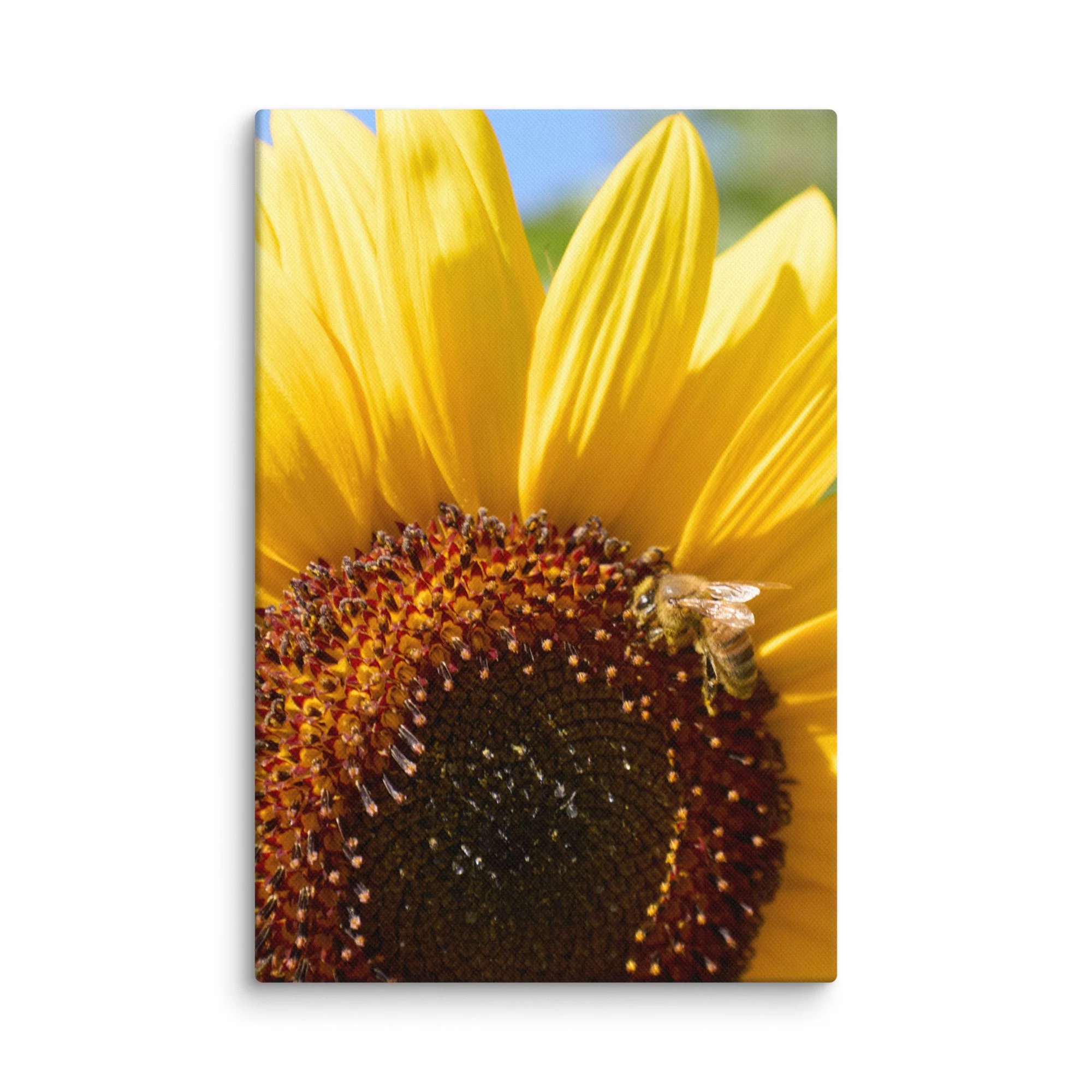 canvas-(in)-8x12-wall-6a457170aee0c.jpg