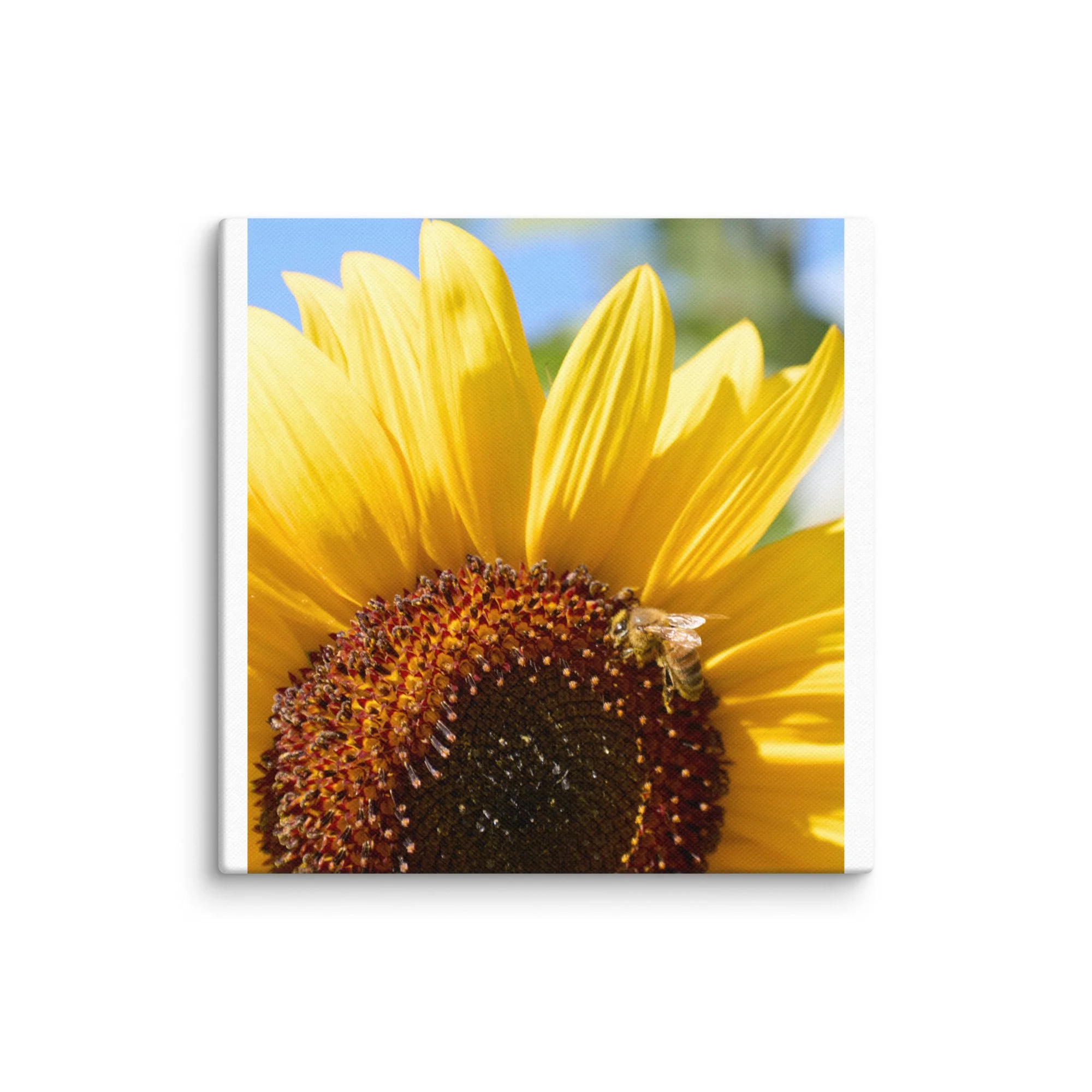 canvas-(in)-8x8-wall-6a457170aee50.jpg