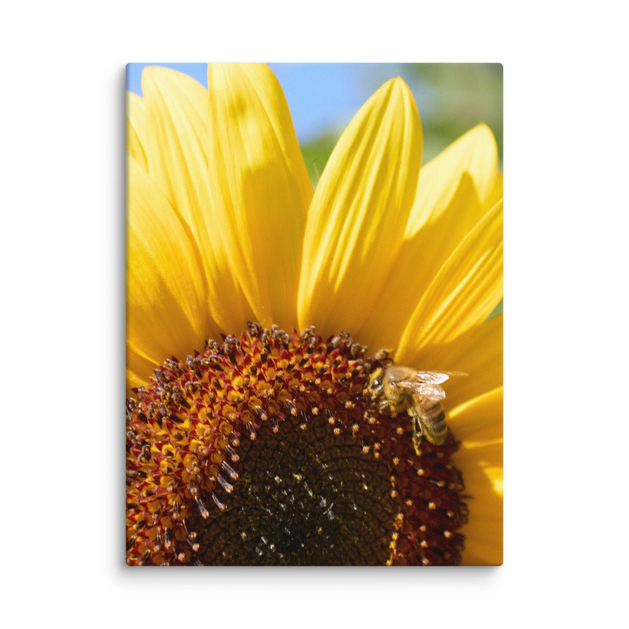 canvas-(in)-9x12-wall-6a457170aee92.jpg